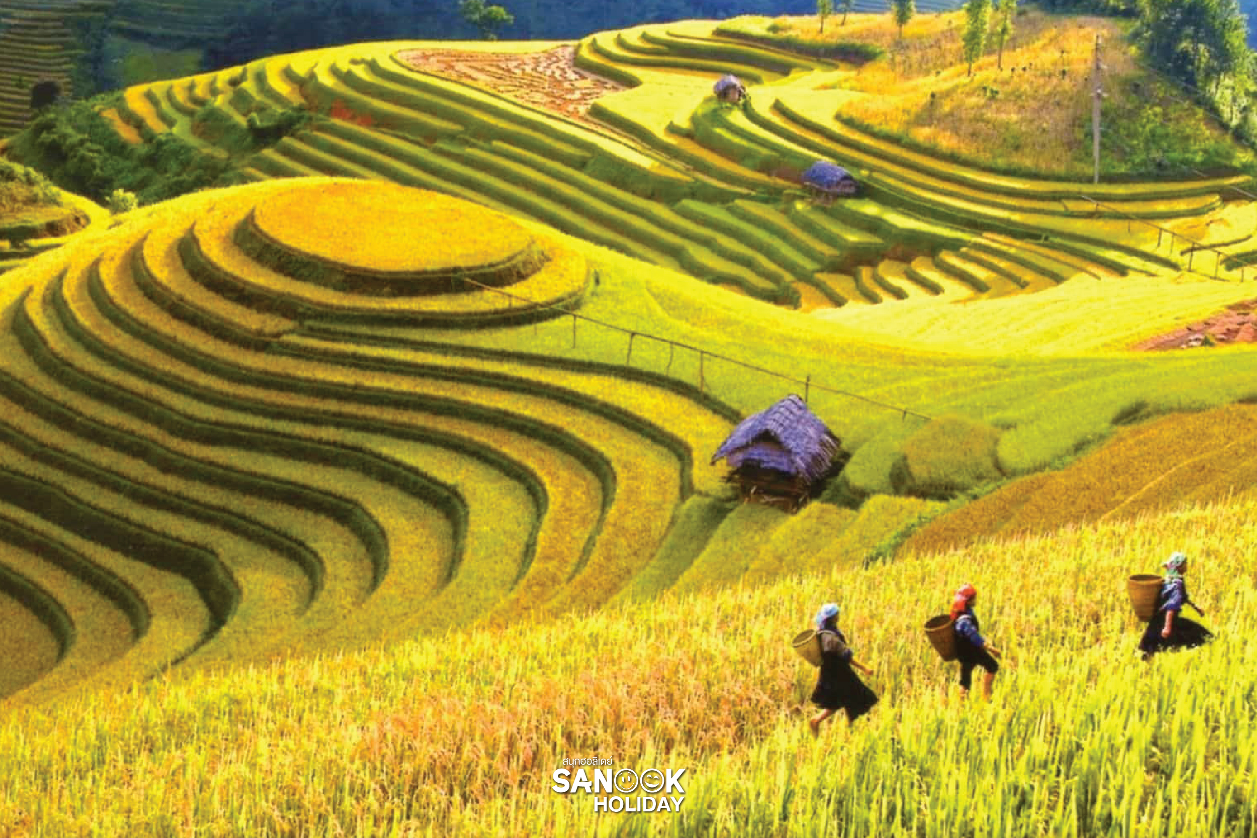 สภาพอากาศเวียดนาม 12 เดือน