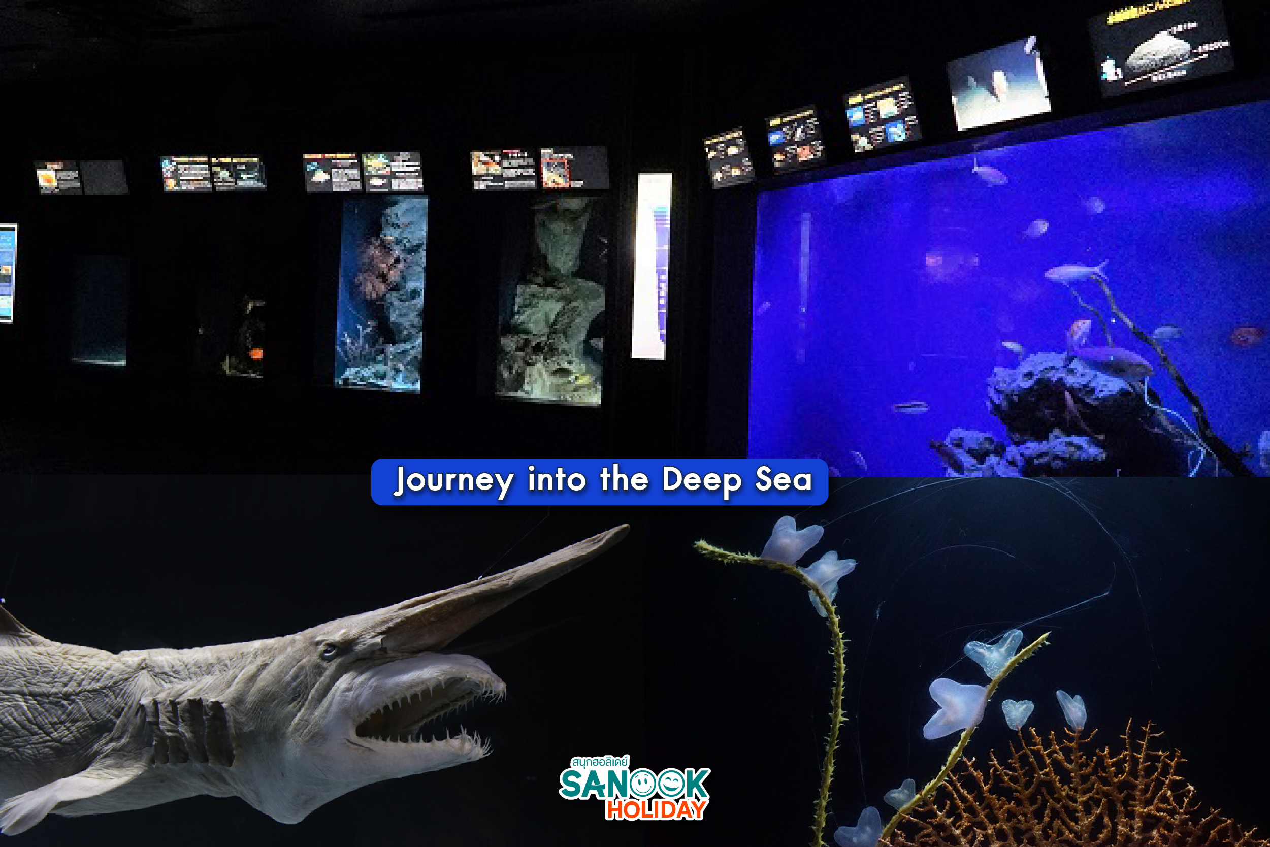 Journey into the Deep Sea