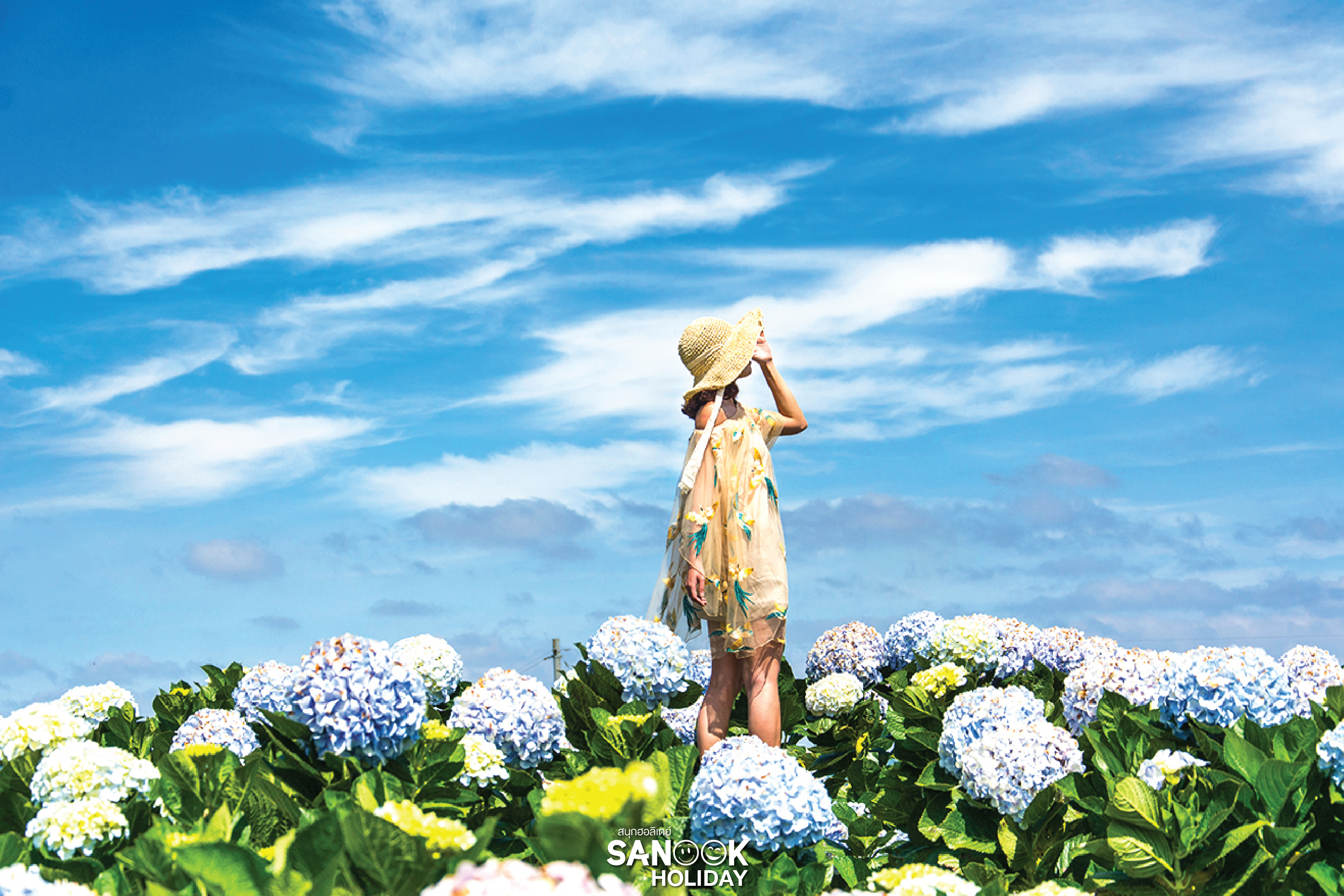 สภาพอากาศเวียดนาม 12 เดือน