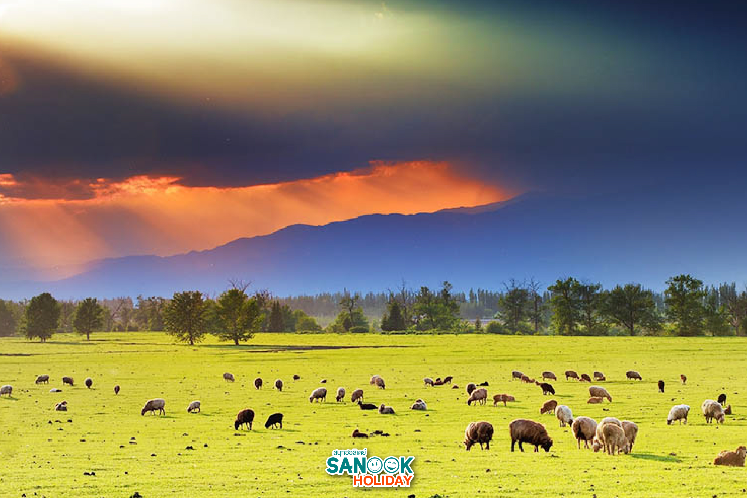 ทุ่งหญ้านาลาตี สวรรค์บนดินแห่งซินเจียง