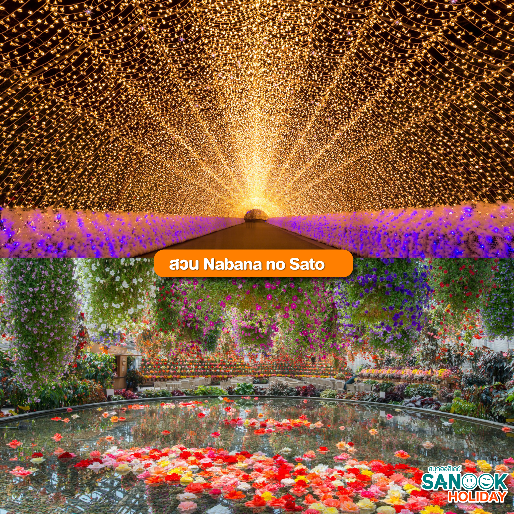 นาบานะ โนะ ซาโตะ (Nabana no Sato)