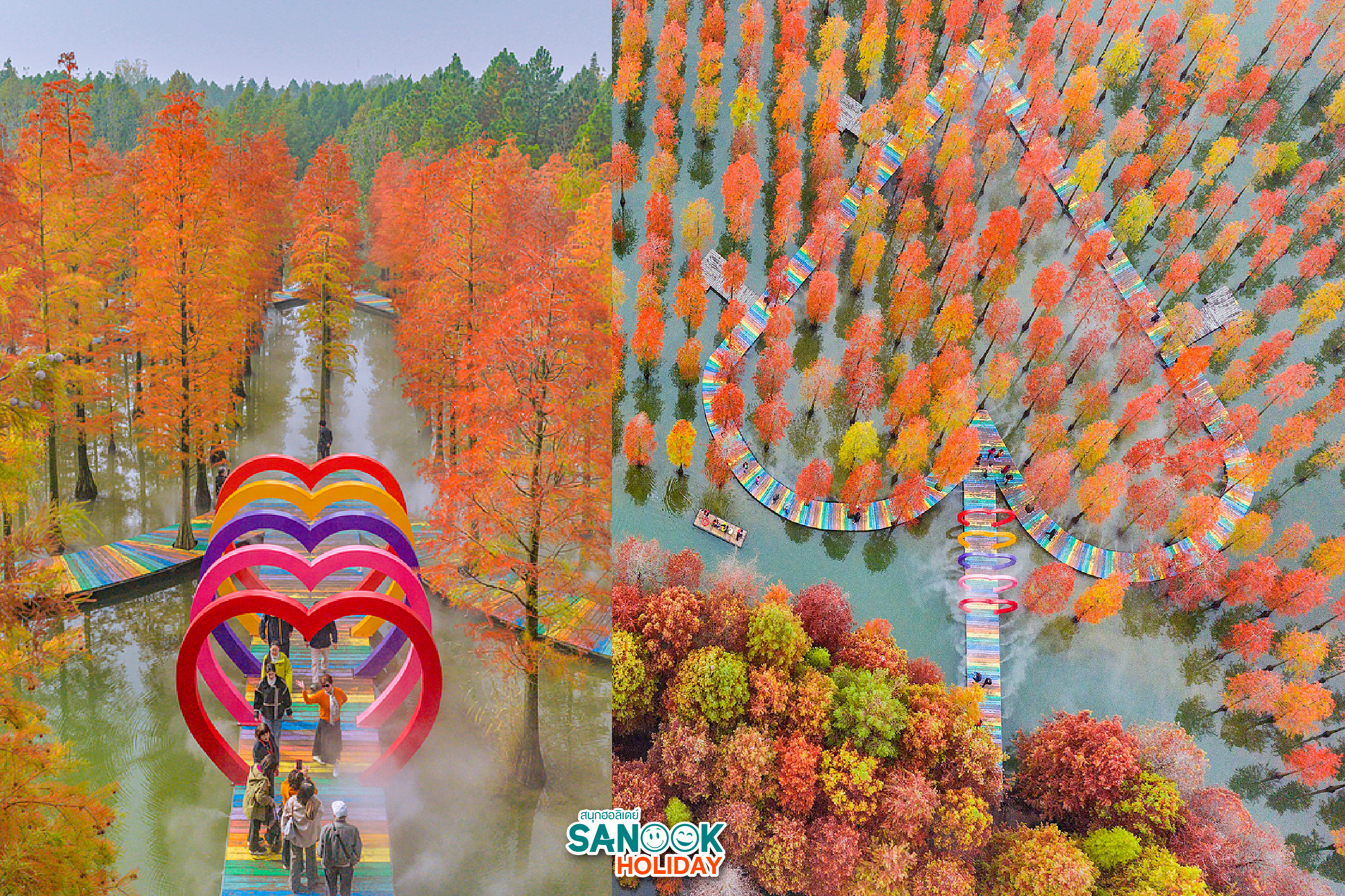 ทะเลสาบหงเจ๋อ Hongze Lake Wetland เจียงซู จีน