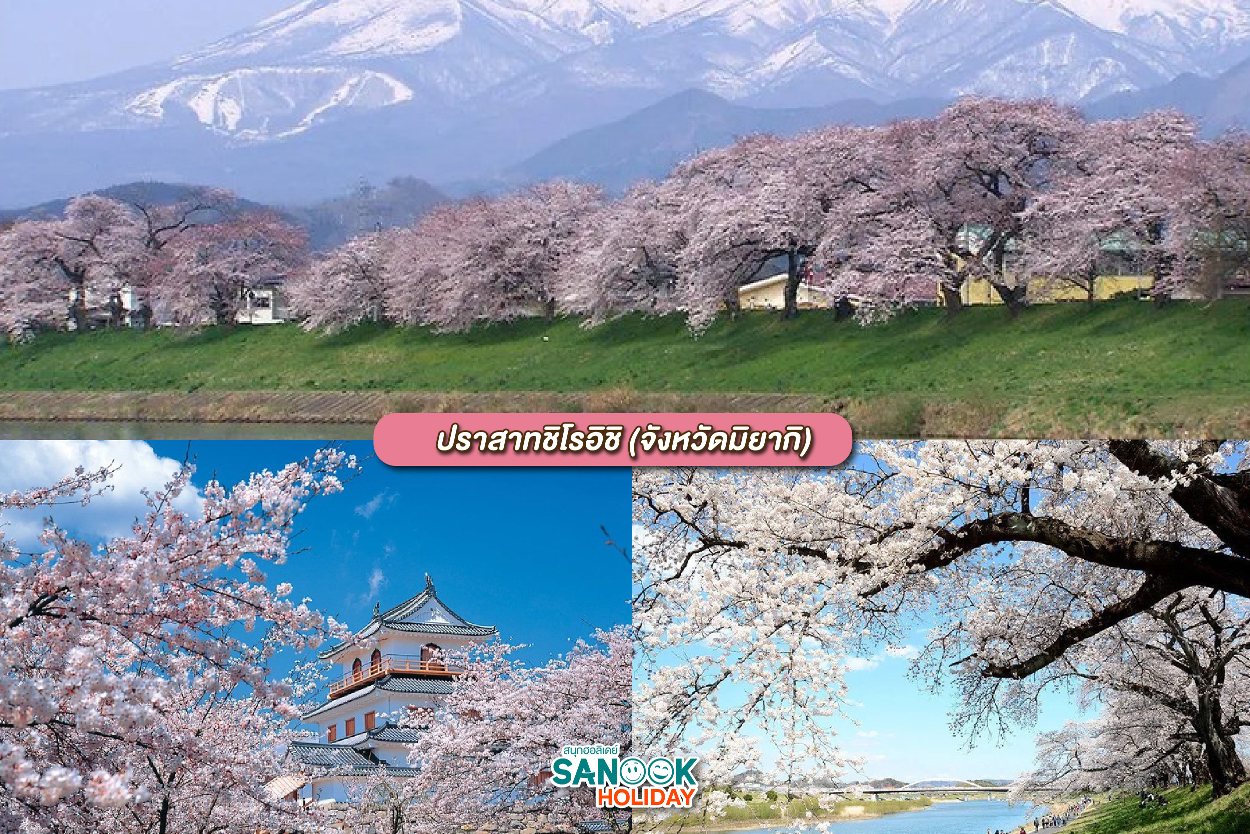 ปราสาทชิโรอิชิ (จังหวัดมิยากิ)