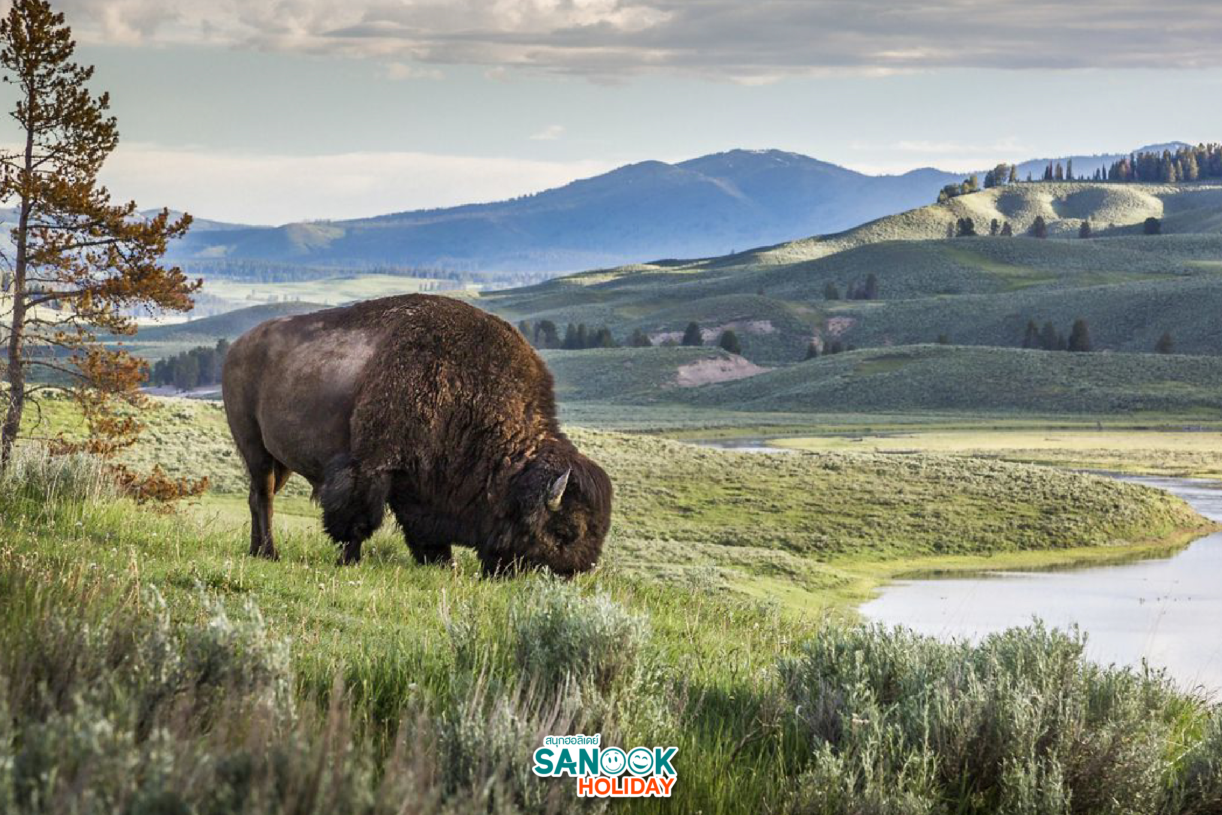 อุทยานแห่งชาติเยลโลว์สโตน Yellowstone National Park อเมริกา