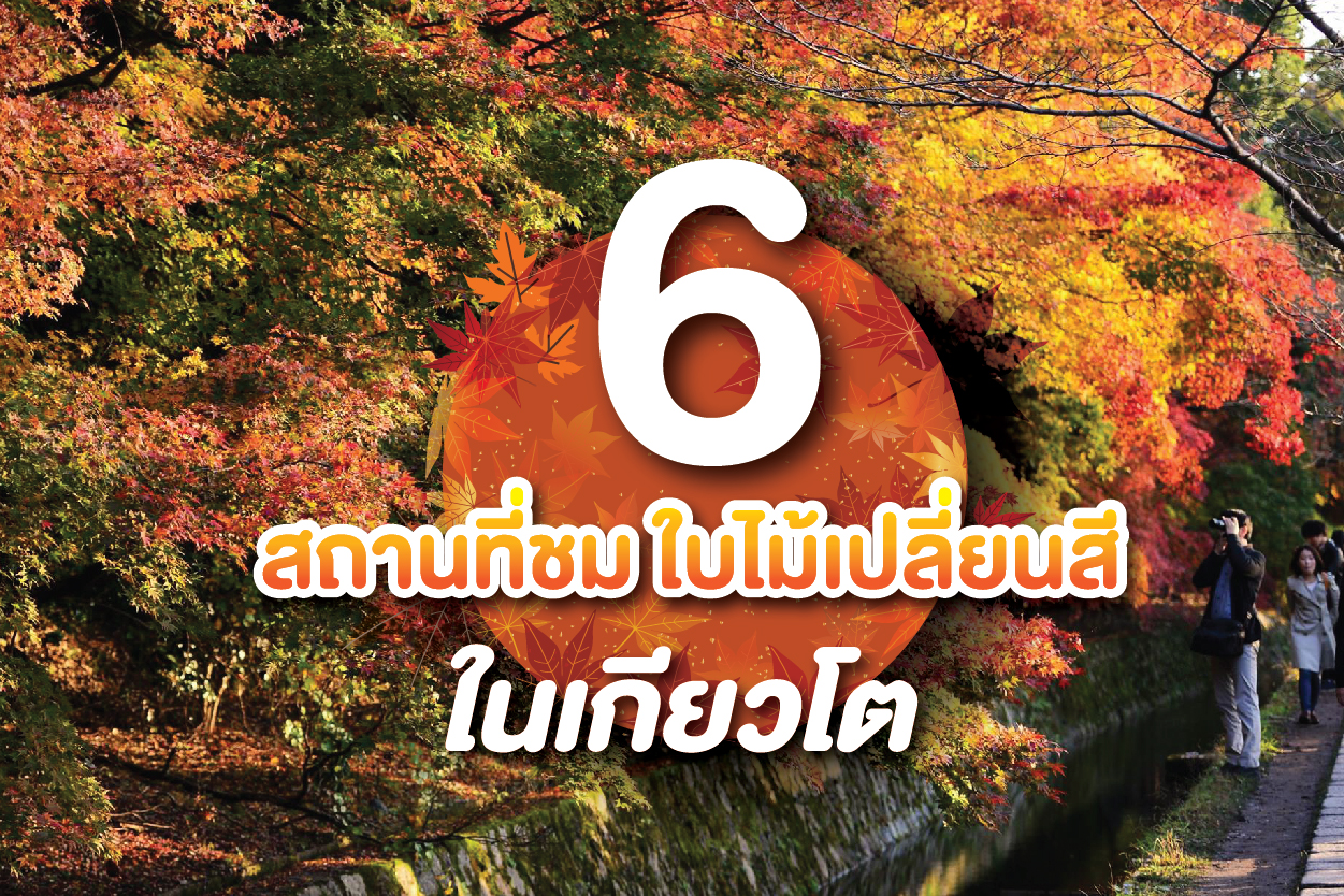 6 พิกัดชมใบไม้เปลี่ยนสีในเกียวโต 2026: สัมผัสพรมสีส้มแดงแห่งเมืองหลวงเก่าที่โลกหลงรัก