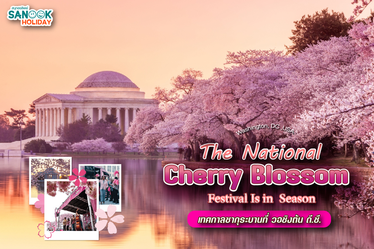 National Cherry Blossom Festival: เมื่อวอชิงตัน ดี.ซี. กลายเป็นสวนสวรรค์สีชมพู