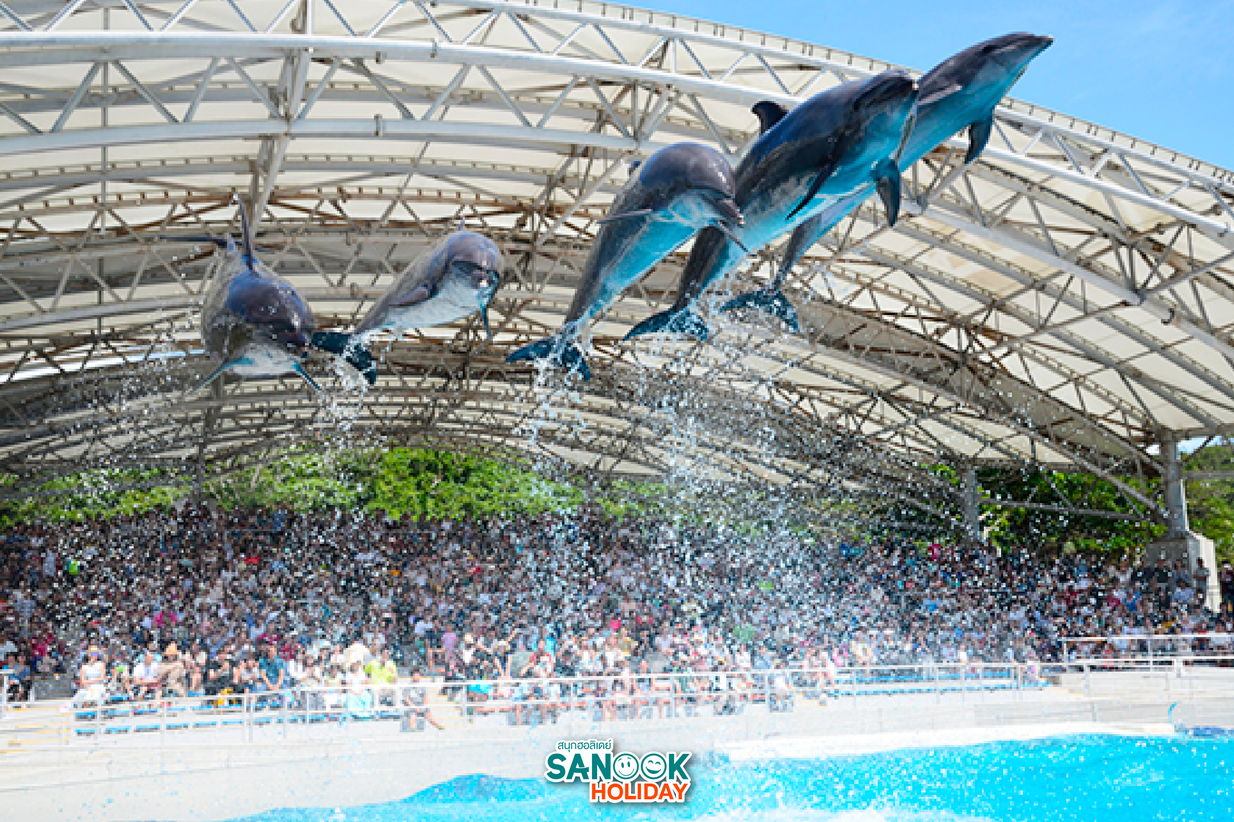 โรงละครโอคิจัง และ ดอลฟินลากูน