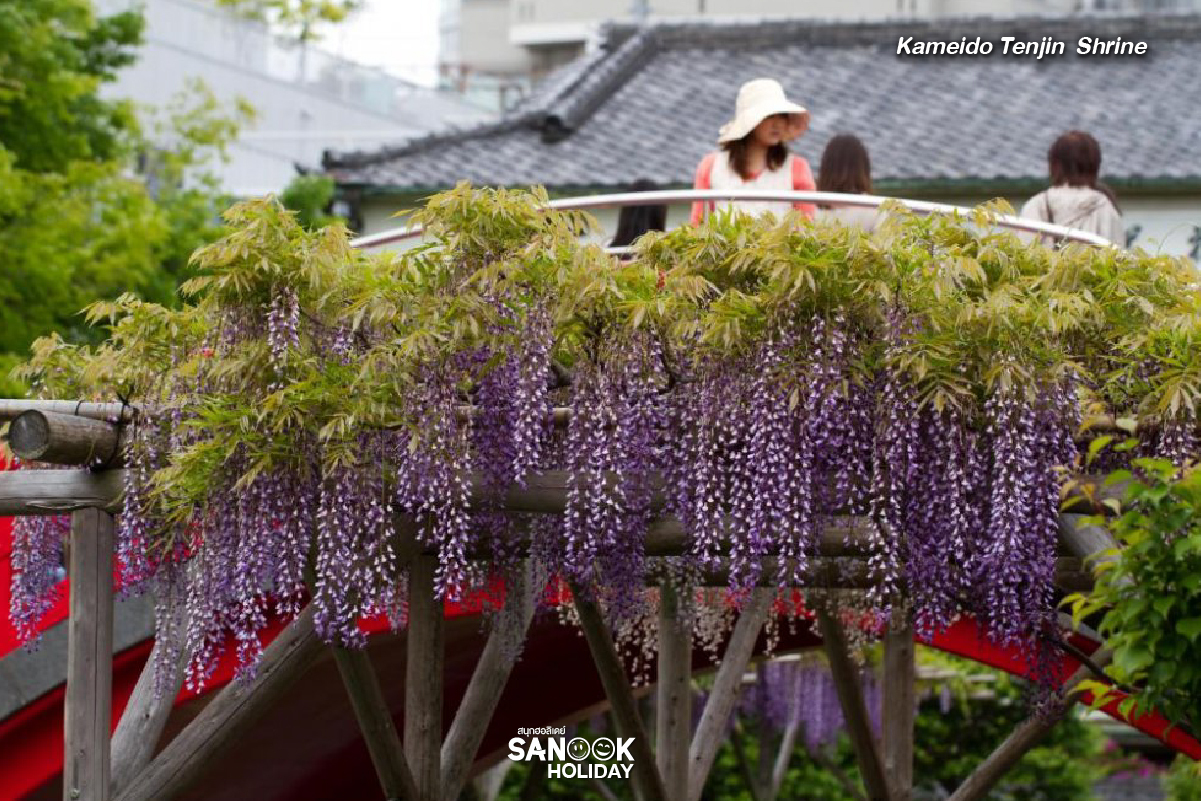 ศาลเจ้าคะเมอิโดะเท็นจิน (Kameido Tenjin Shrine)