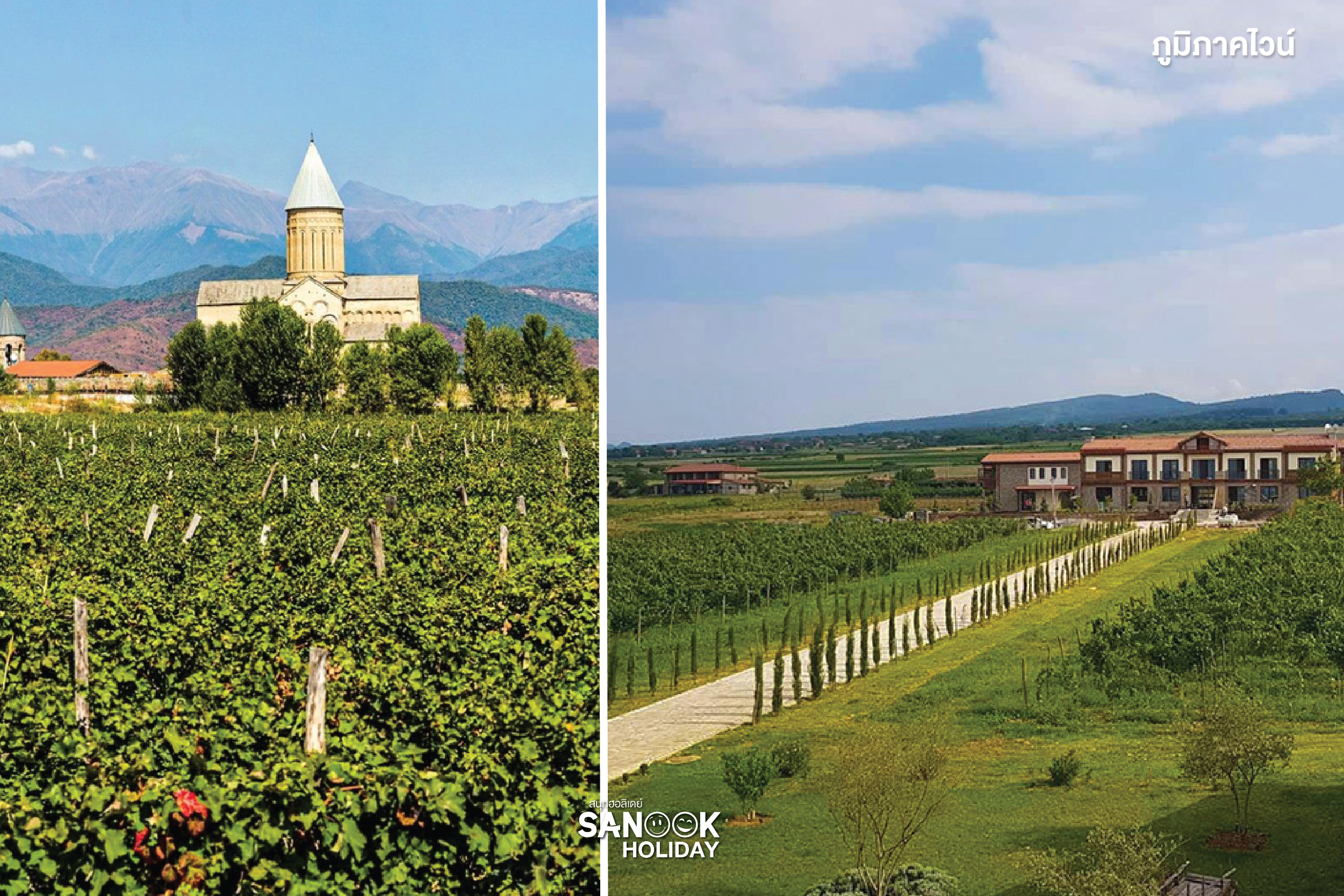ภูมิภาคไวน์ (Wine Region - Kakheti) 