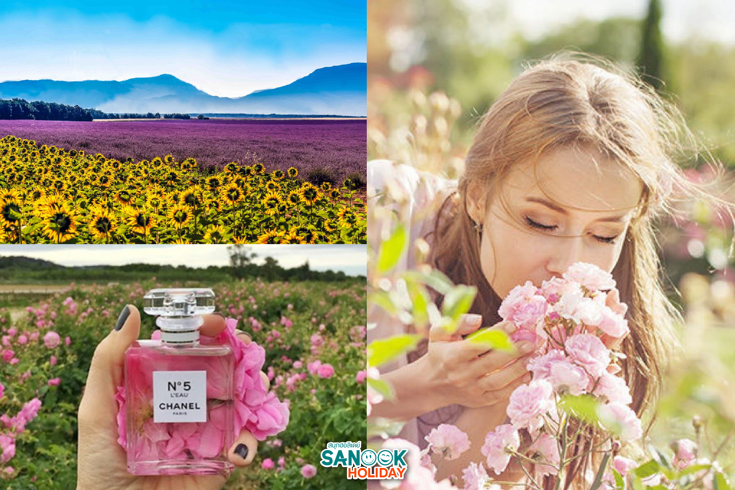 Workshop ปรุงน้ำหอมที่ Grasse