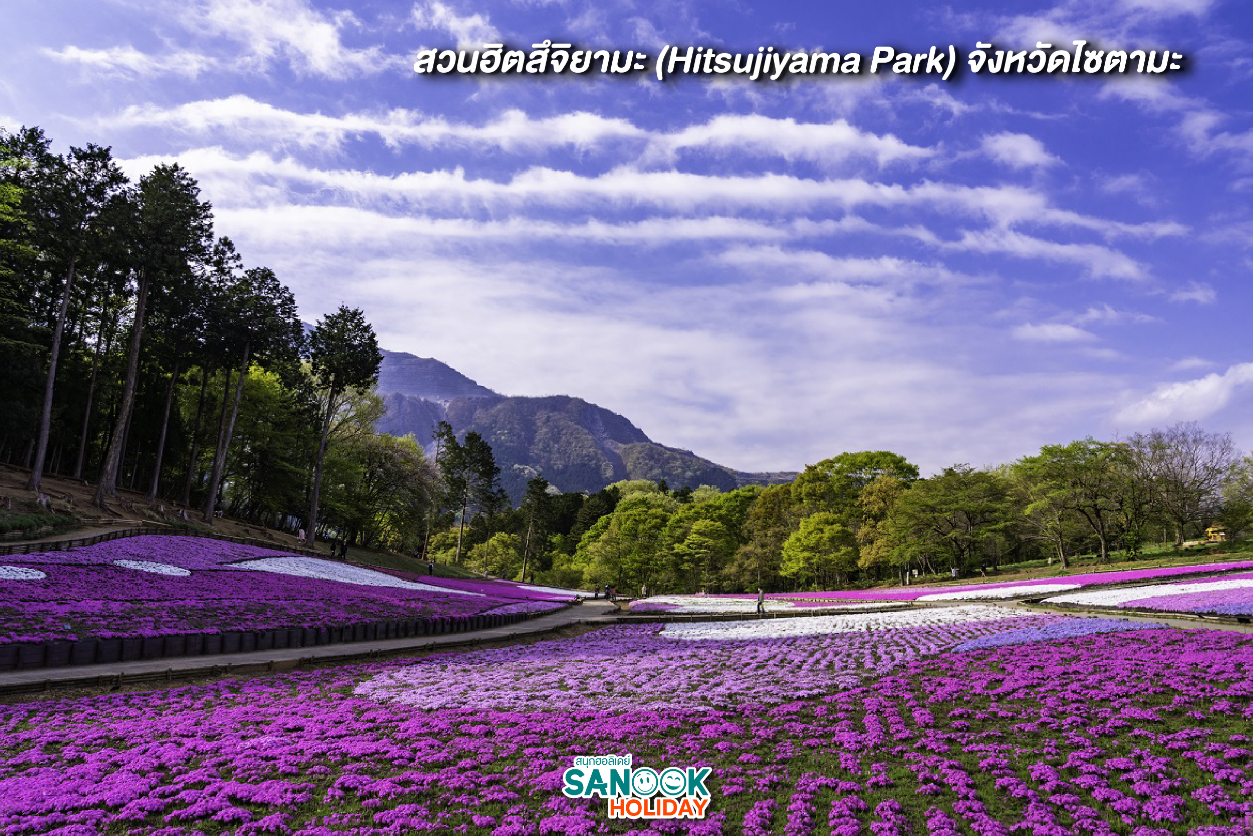 Hitsujiyama Park - Shibazakura no Oka (จังหวัดไซตามะ)