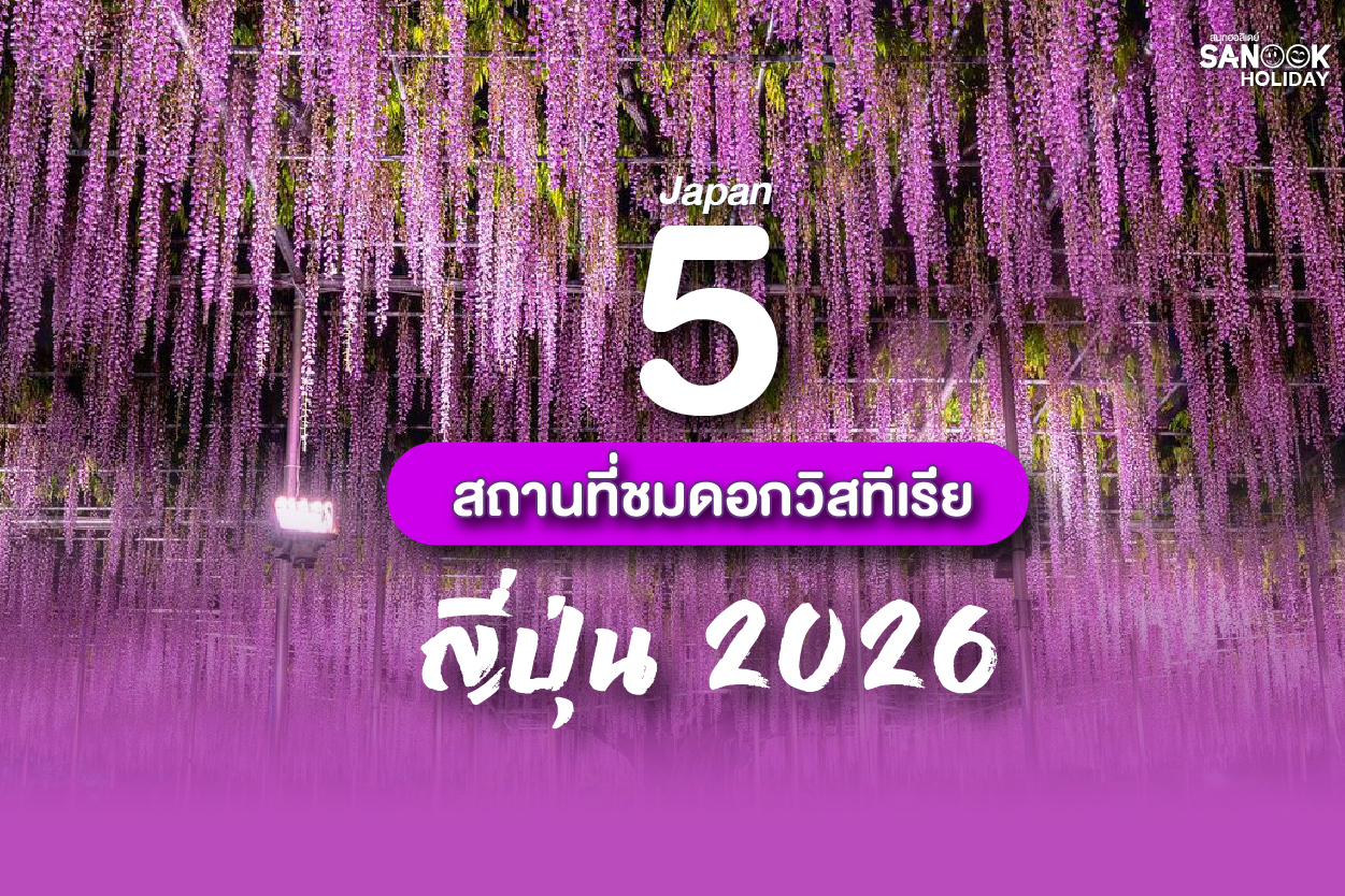 5 สถานที่ชมดอกวิสทีเรีย ญี่ปุ่น 2026 ท่องดินแดนแห่งม่านดอกไม้สีม่วงระย้าประดุจสรวงสวรรค์