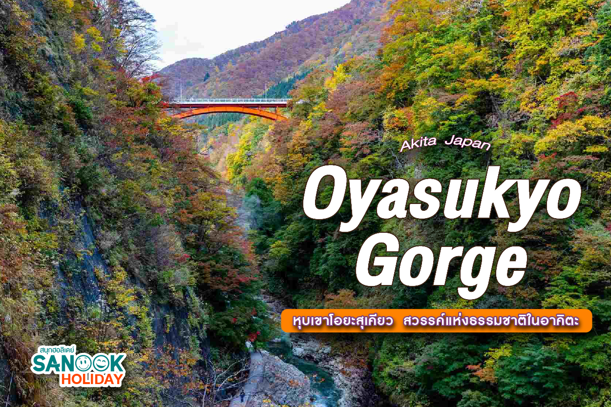 หุบเขาโอยะสุเคียว (Oyasukyo Gorge): เมื่อธรรมชาติร่ายรำท่ามกลางไอน้ำและหุบเหว