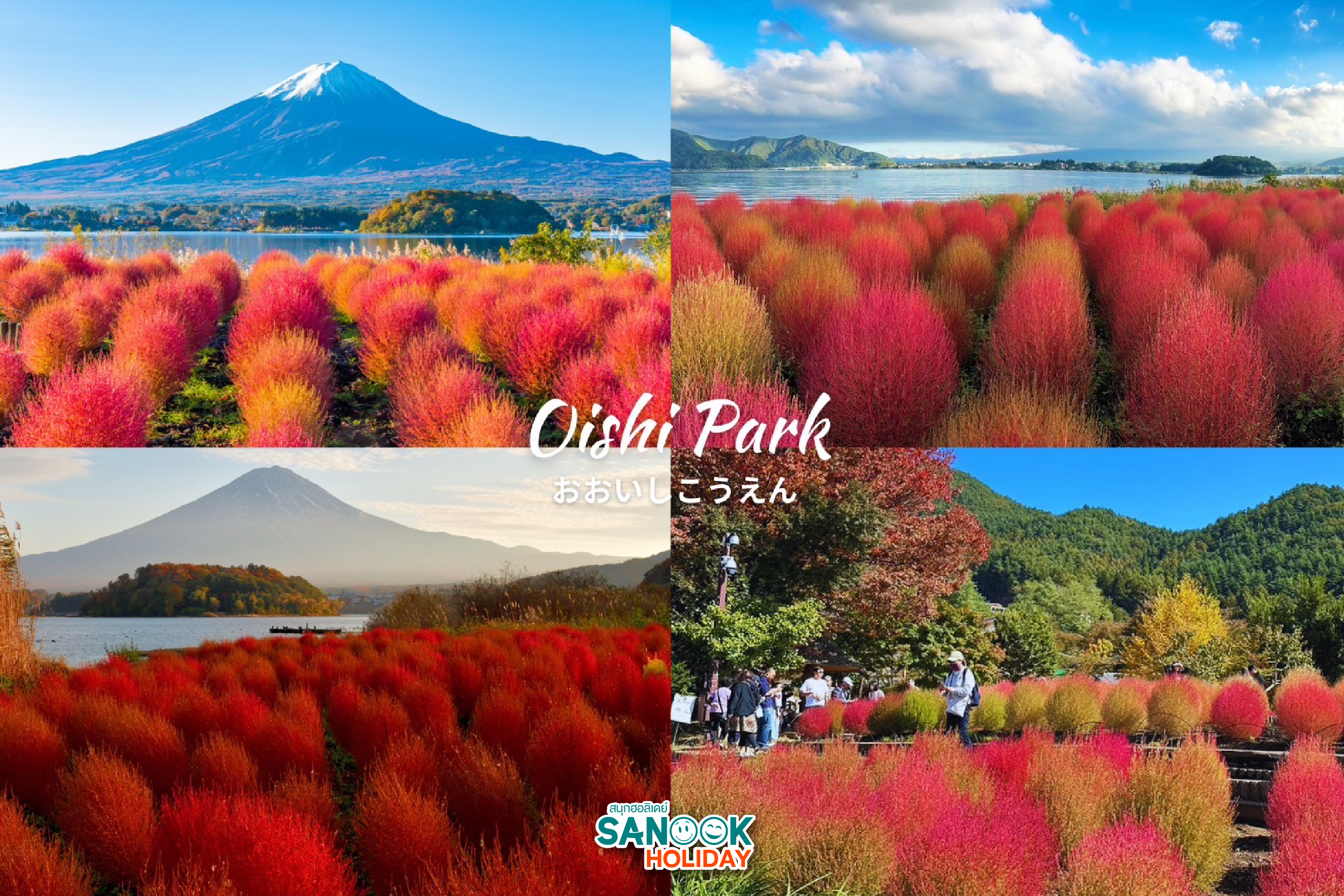 โออิชิพาร์ค Oishi park