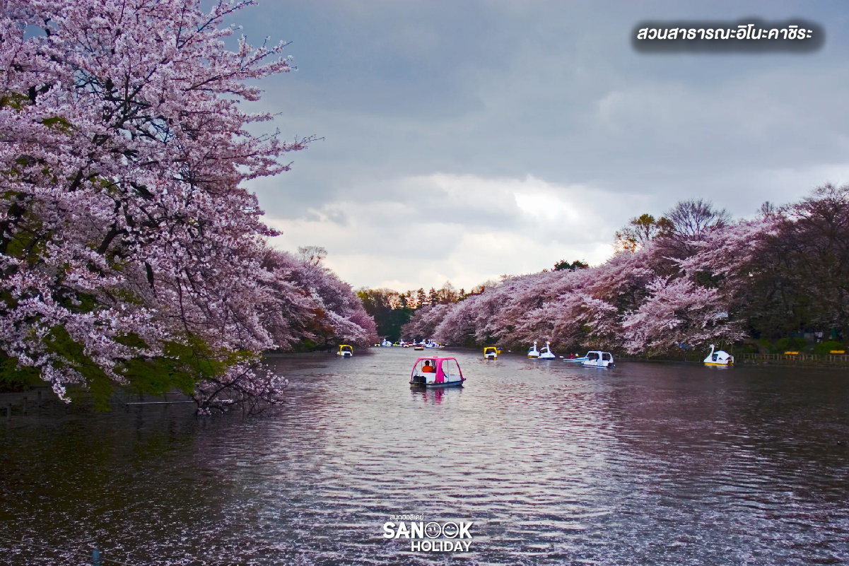 สวนสาธารณะอิโนะคาชิระ (Inokashira Park) โตเกียว