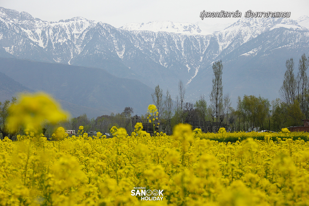 พาฮาลแกรม (Pahalgam)