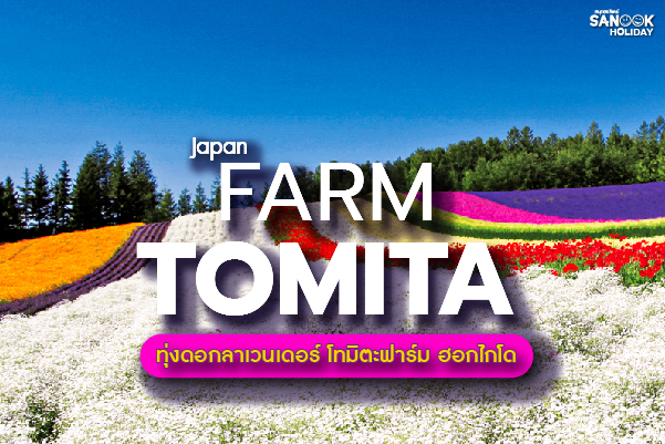 ทุ่งดอกลาเวนเดอร์ โทมิตะฟาร์ม (Farm Tomita) อัญมณีแห่งฟูราโน่