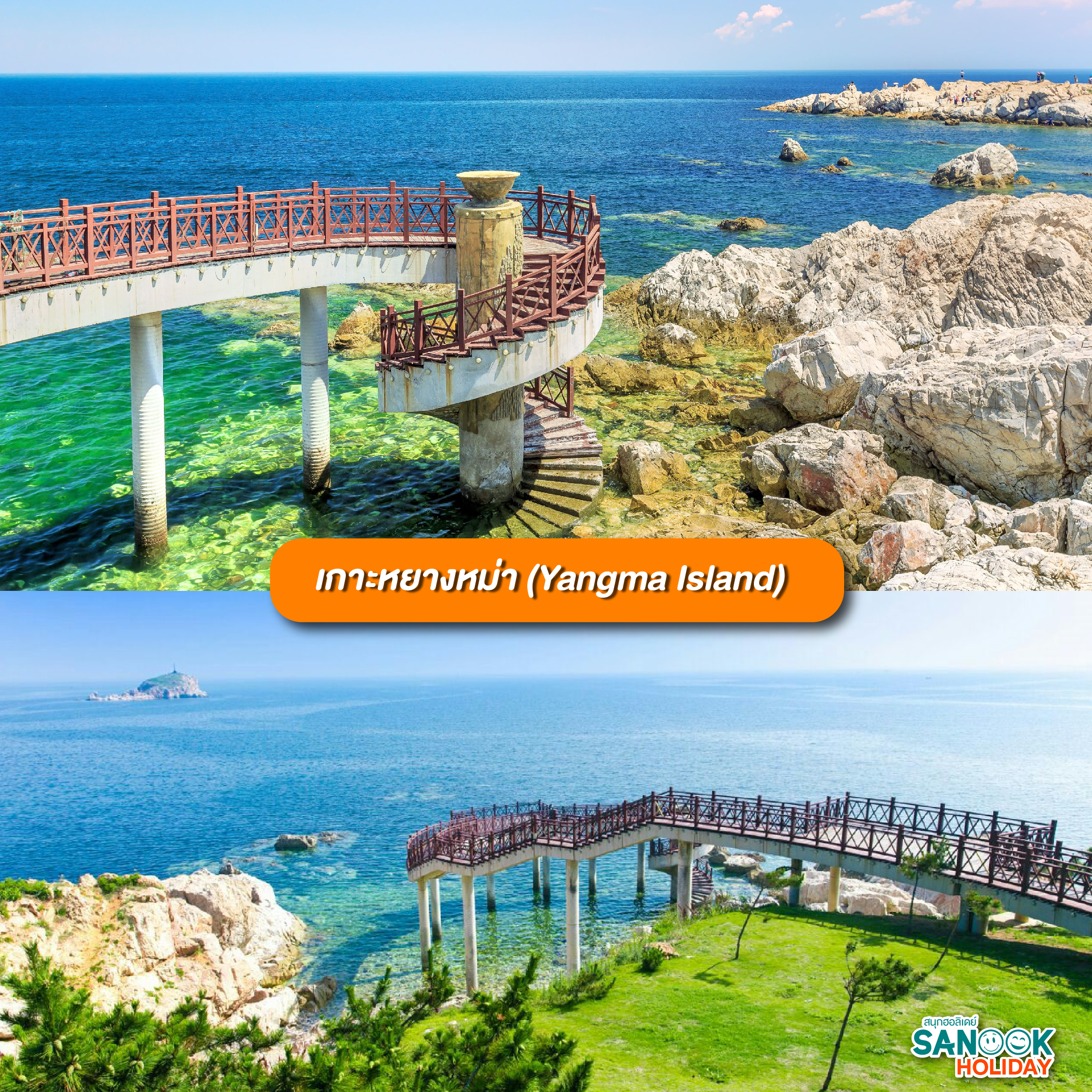 เกาะหยางหม่า