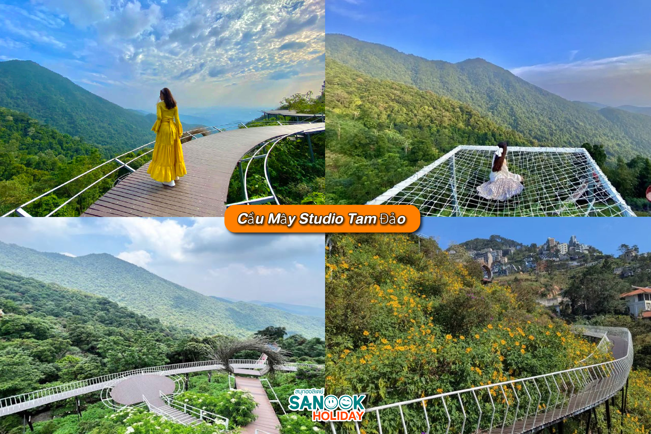 Cau May Studio Tam Dao