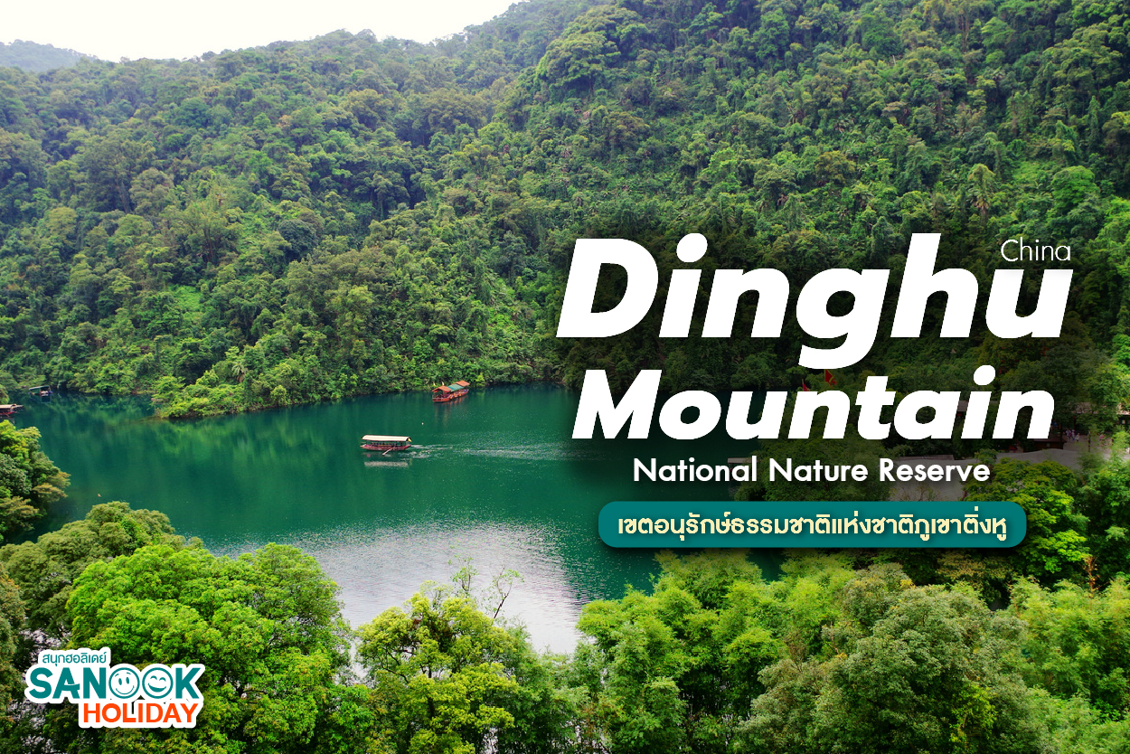 เขตอนุรักษ์ธรรมชาติภูเขาติ่งหู (Dinghu Mountain): ปอดสีเขียวแห่งกวางตุ้ง และพิกัดเติมพลังธรรมชาติที่