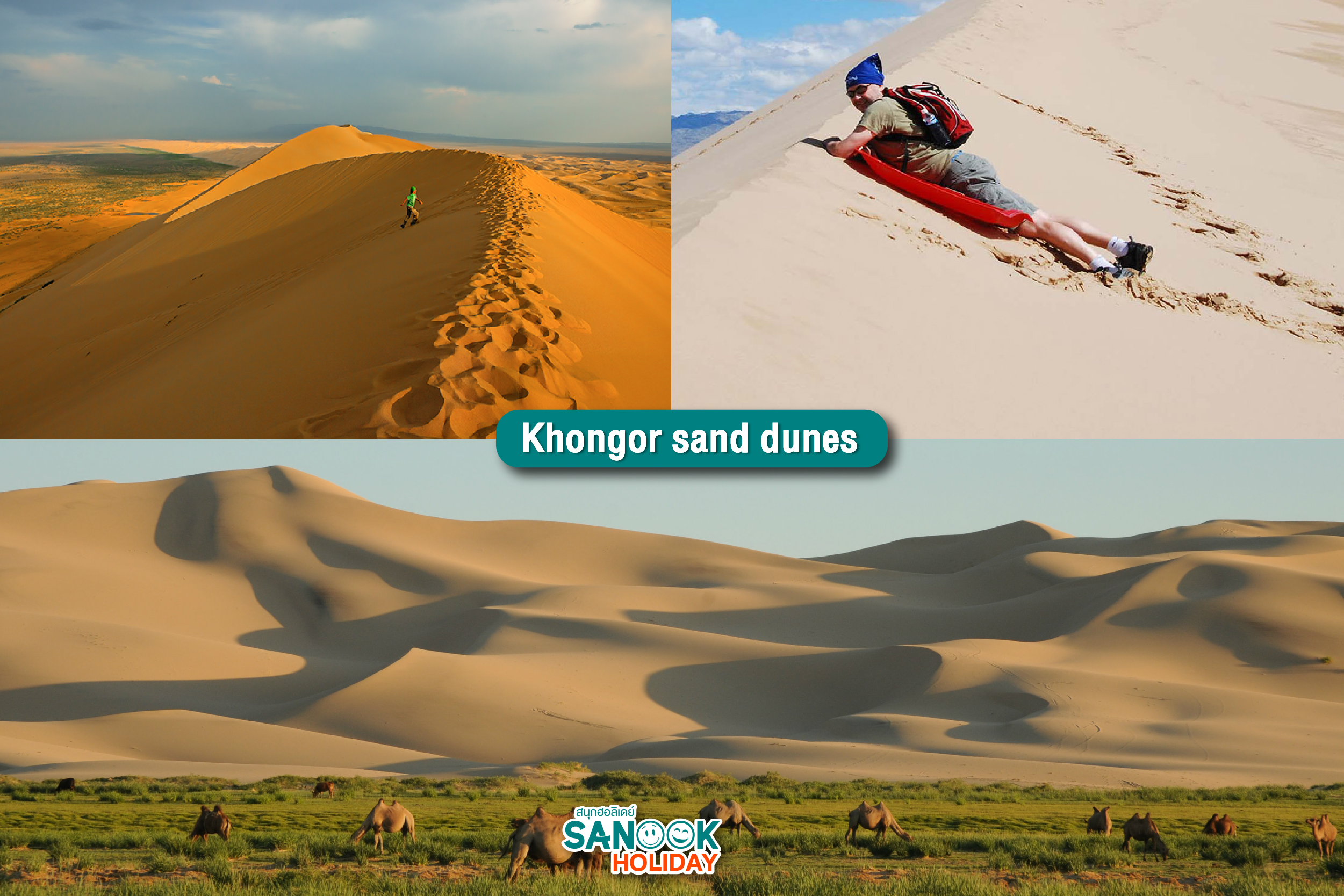 Khongor Sand Dunes (Khongoryn Els)