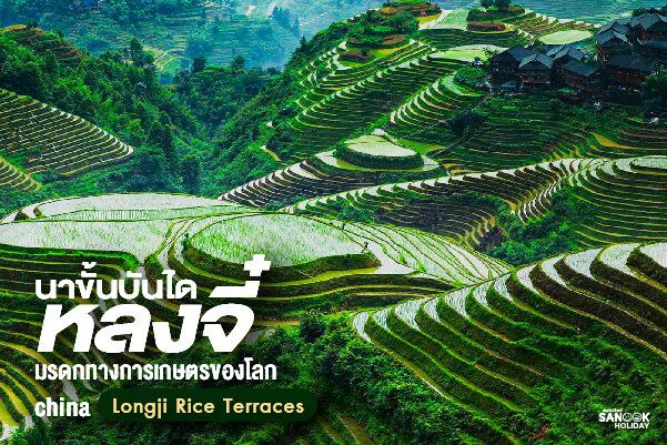 นาขั้นบันไดหลงจี๋ (Longji Rice Terraces) สันหลังมังกรแห่งกุ้ยหลิน
