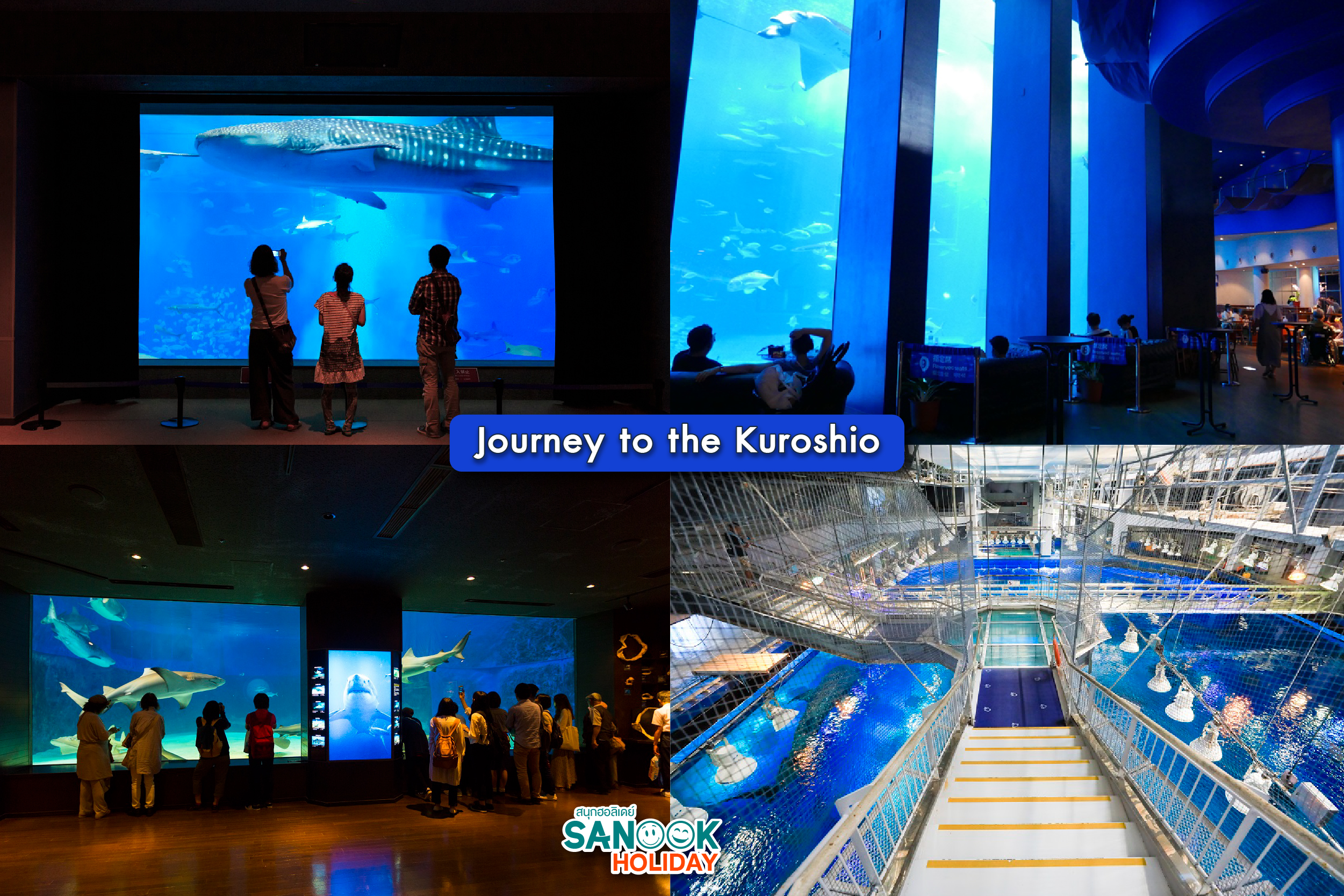 พิพิธภัณฑ์สัตว์น้ำโอกินาว่าชูราอุมิ