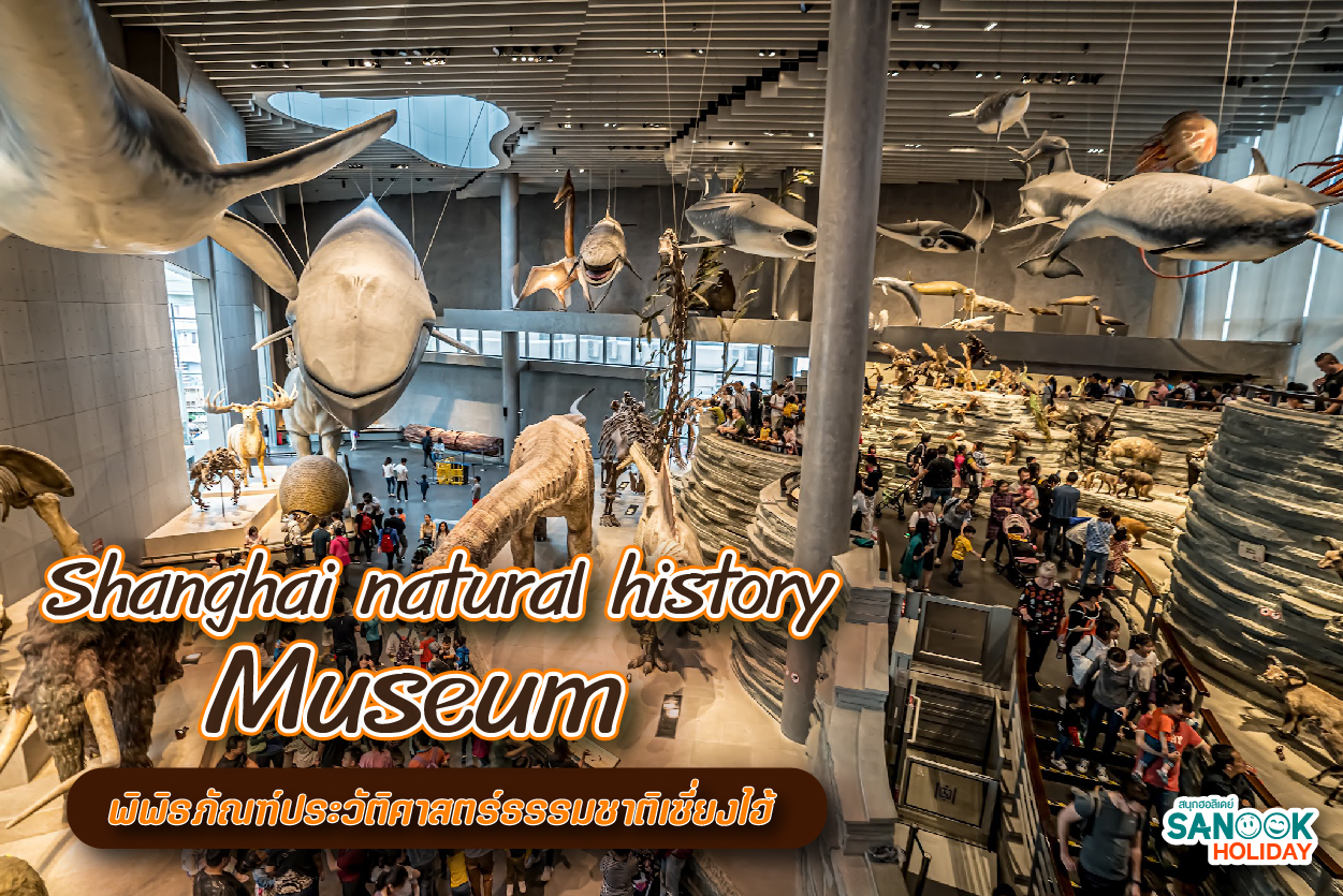 เจาะลึก Shanghai Natural History Museum พิพิธภัณฑ์ธรรมชาติที่ล้ำที่สุดในโลก