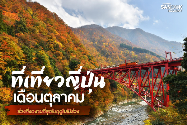 เปิดปฏิทิน 'ใบไม้เปลี่ยนสี' ญี่ปุ่น ตุลาคมนี้... ไปชมความงามที่สวยที่สุดในรอบปี