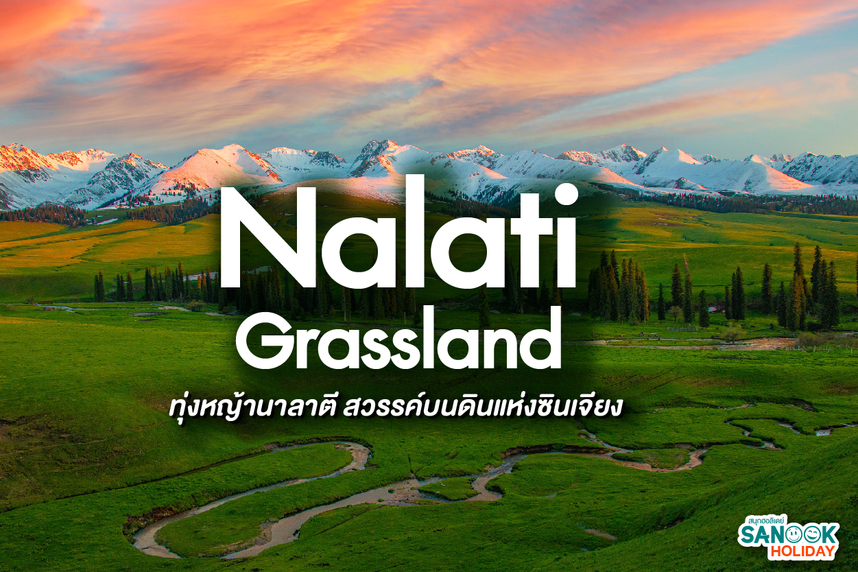 ทุ่งหญ้านาลาตี สวรรค์บนดินแห่งซินเจียง