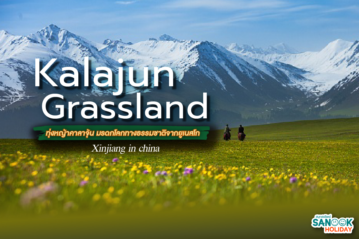 Kalajun Grassland: ตามหา 