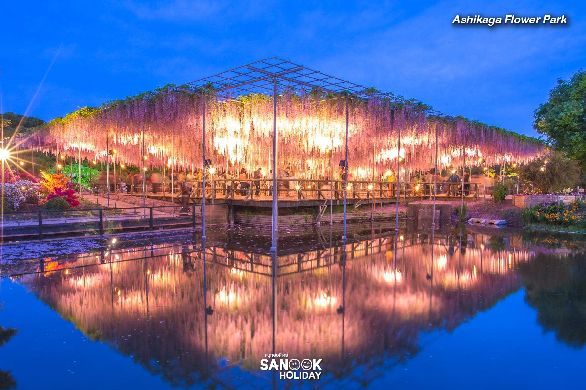 สวนดอกไม้อาชิคางะ (Ashikaga Flower Park)