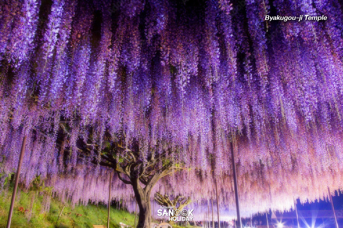วัดเบียคุโกจิ (Byakugou-ji Temple)