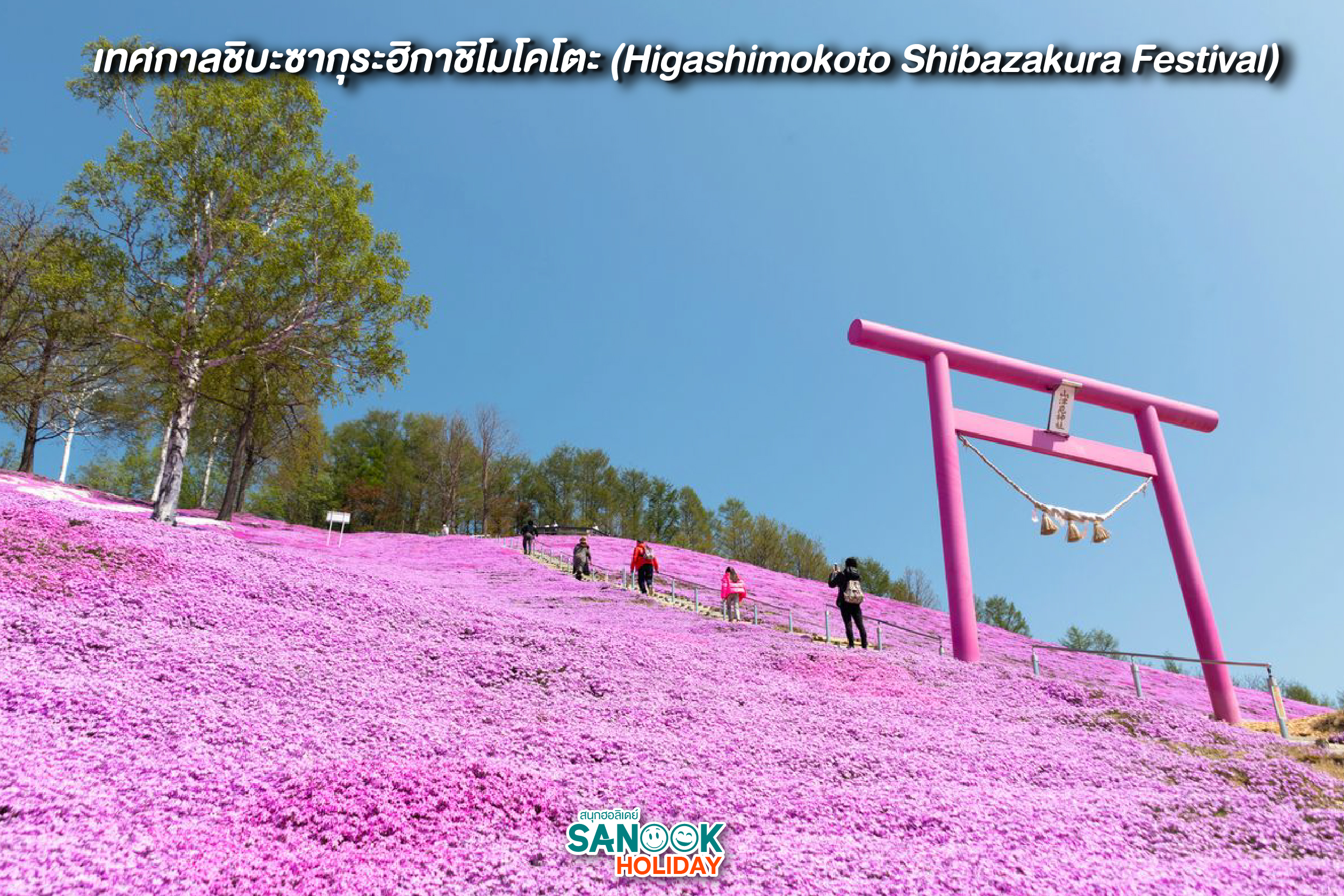 Higashimokoto Shibazakura Park (ฮอกไกโด)
