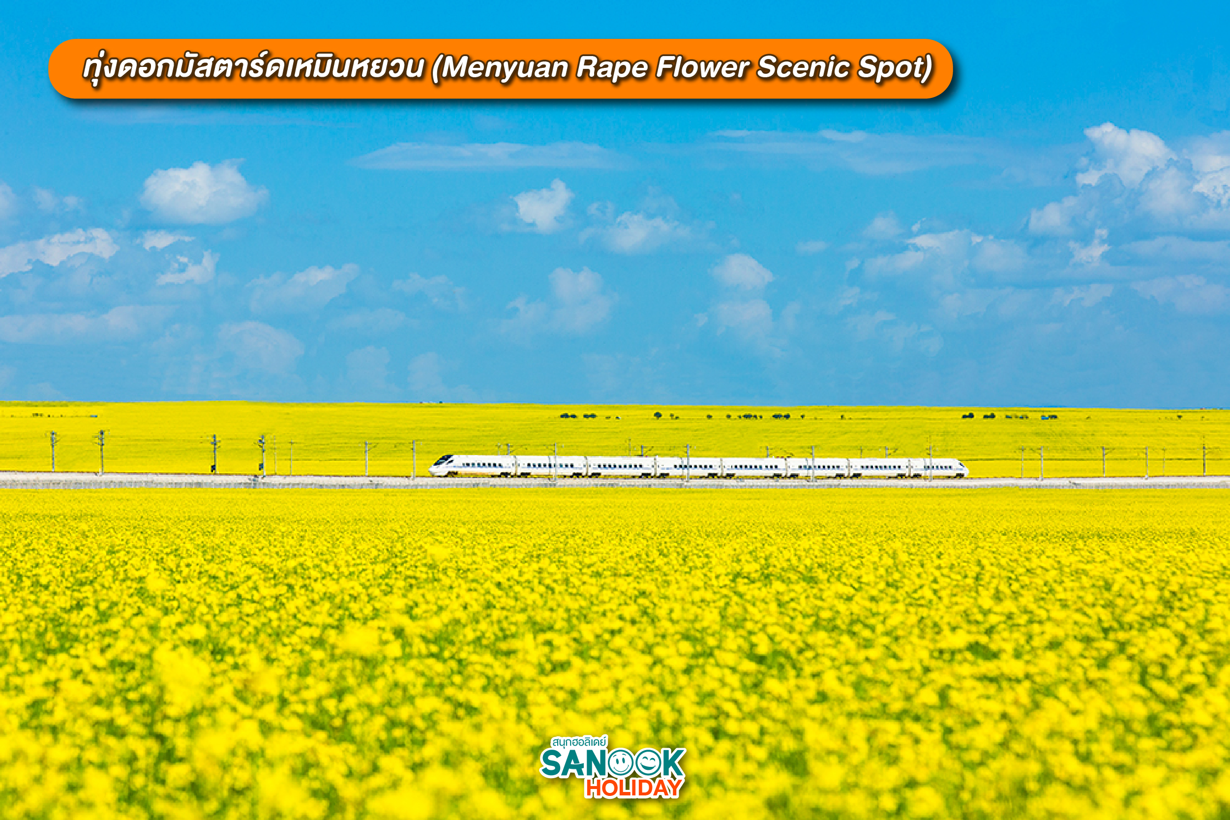 ทุ่งดอกมัสตาร์ดเหมินหยวน (Menyuan Rape Flower)