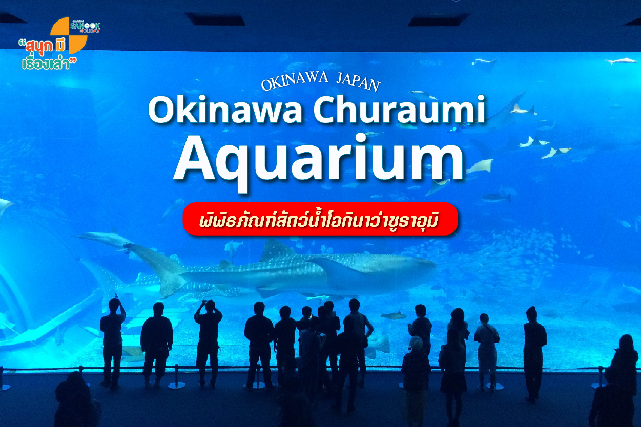 พิพิธภัณฑ์สัตว์น้ำโอกินาว่าชูราอุมิ Okinawa Churaumi Aquarium