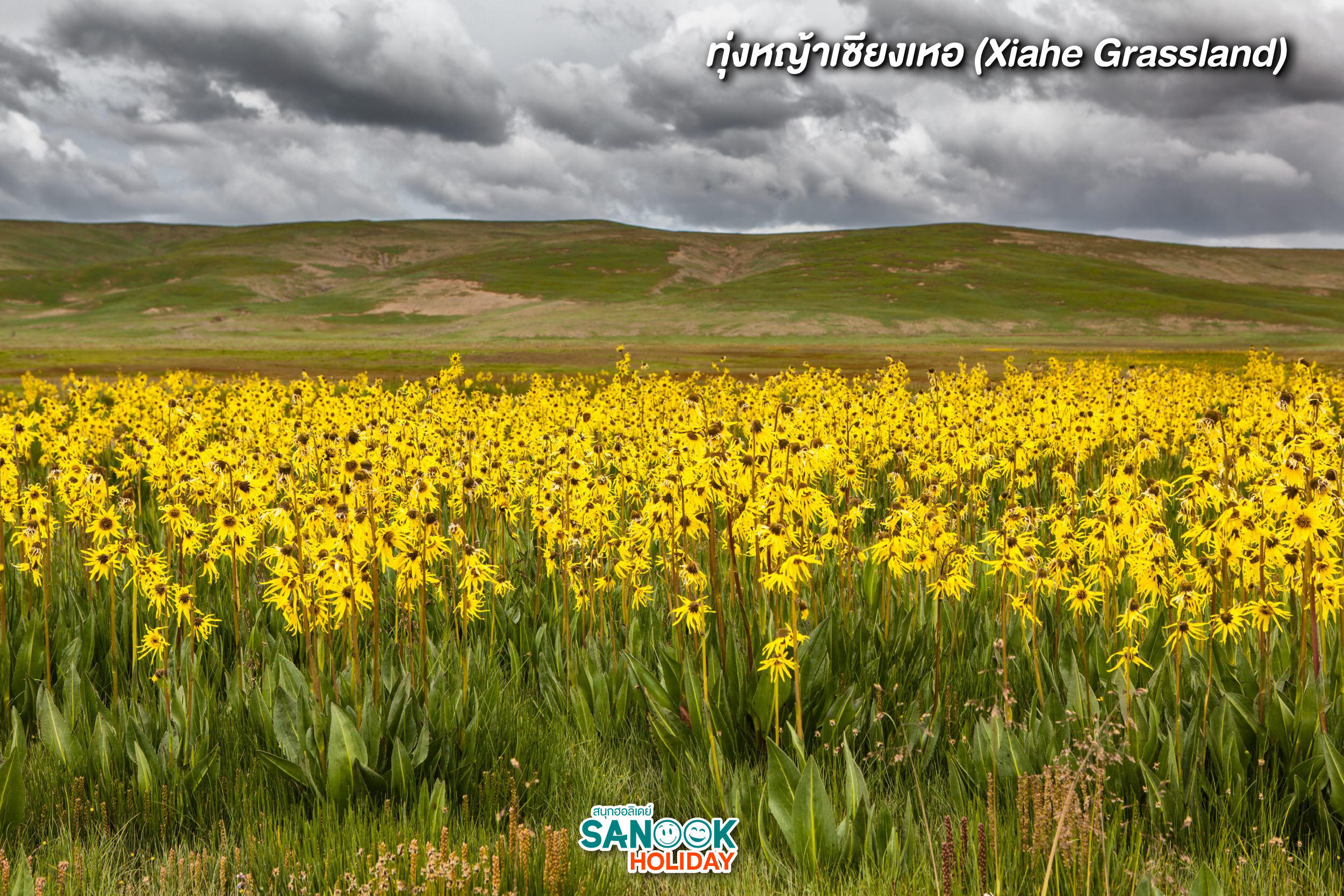 “กานหนาน” (Gannan) – ดินแดนแห่งทิเบตในจีน