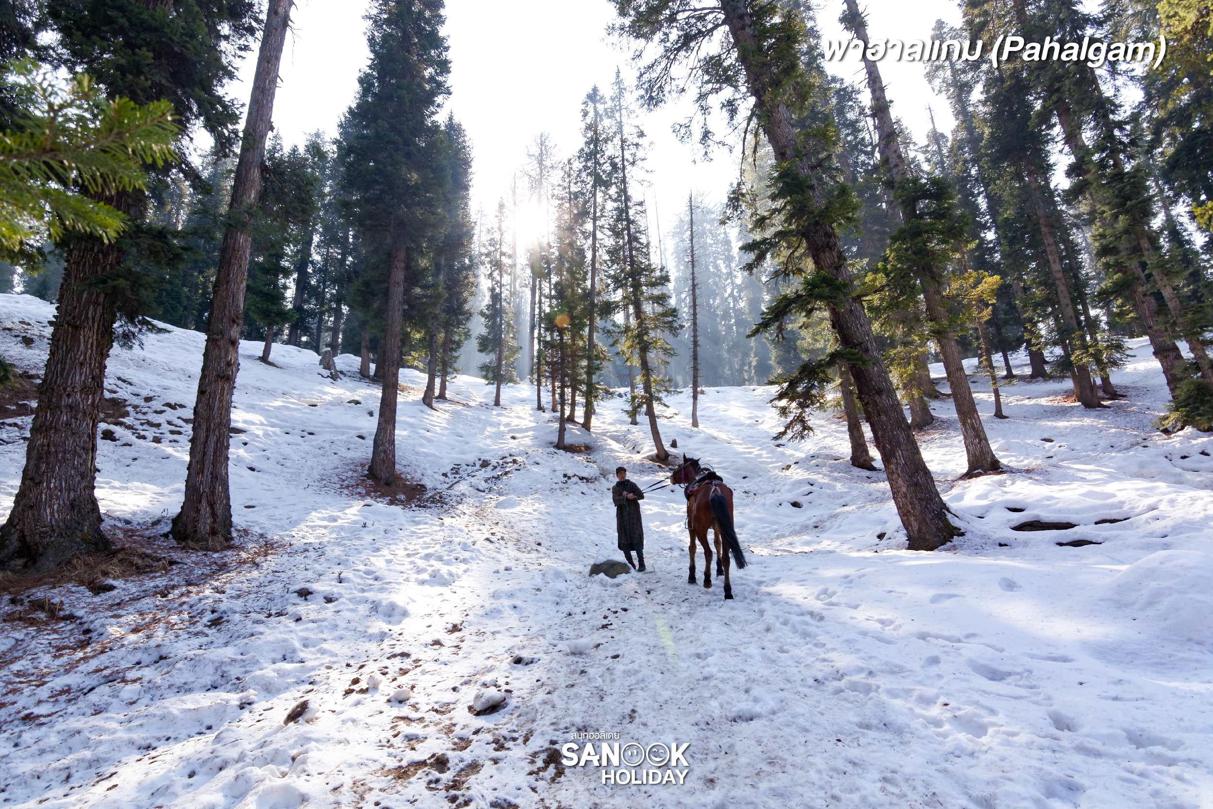 Pahalgam (พาฮาลกัม)