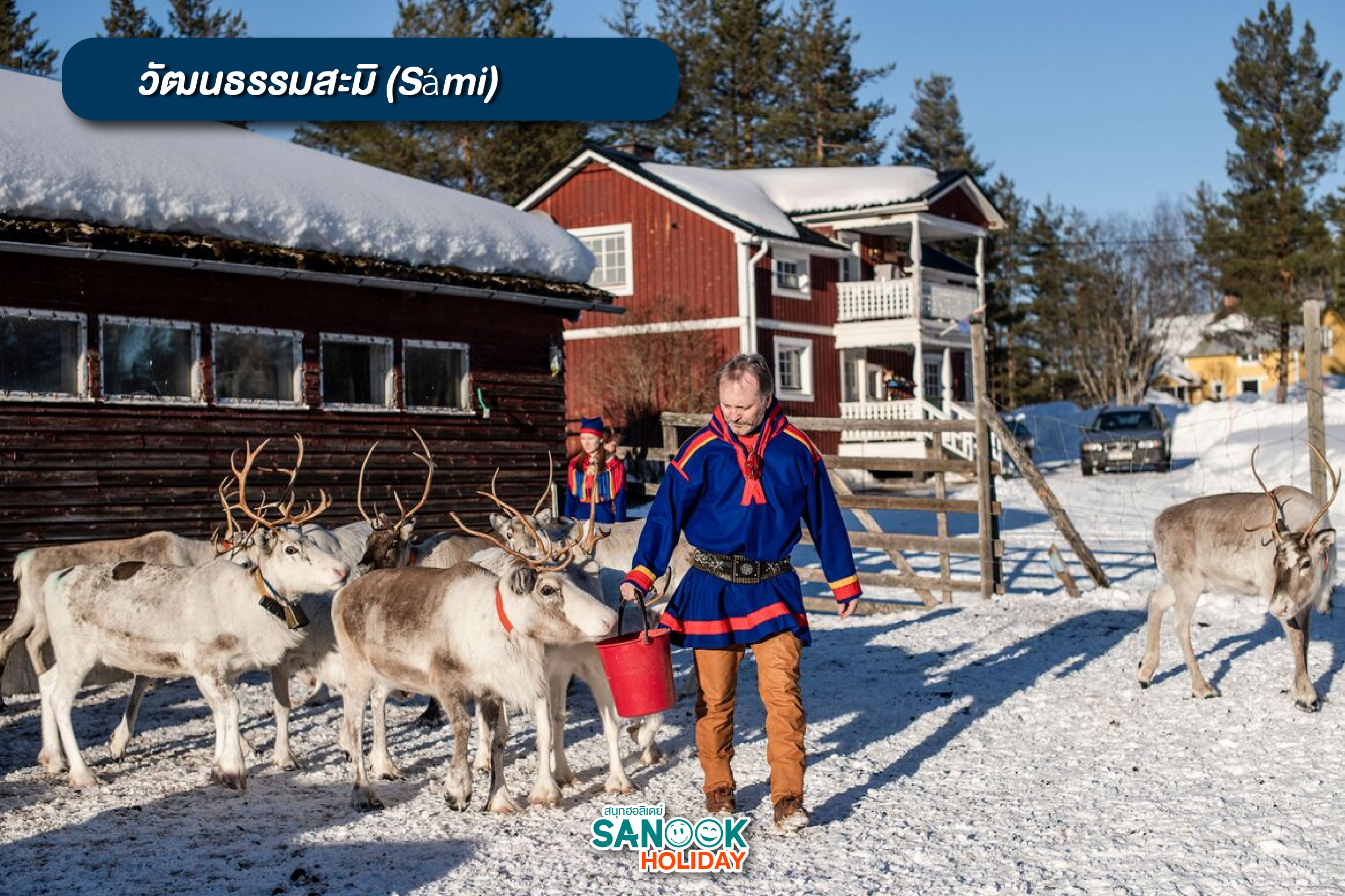 ชาวซามิ Sami และกวางเรนเดียร์สวีเดน 2026