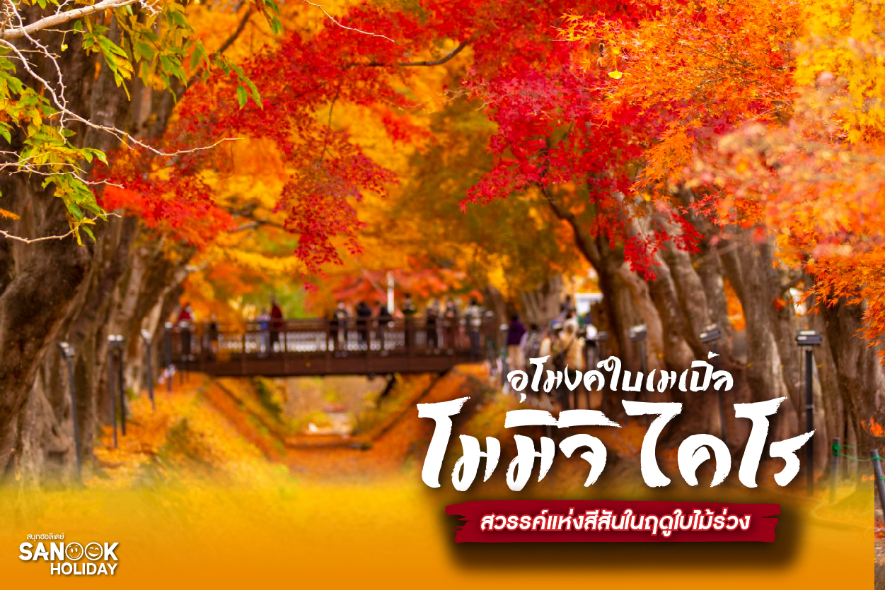 โมมิจิ ไคโร (Momiji Kairo): อุโมงค์ใบเมเปิ้ลสีเพลิง... สวรรค์บนดินที่ฤดูใบไม้ร่วง