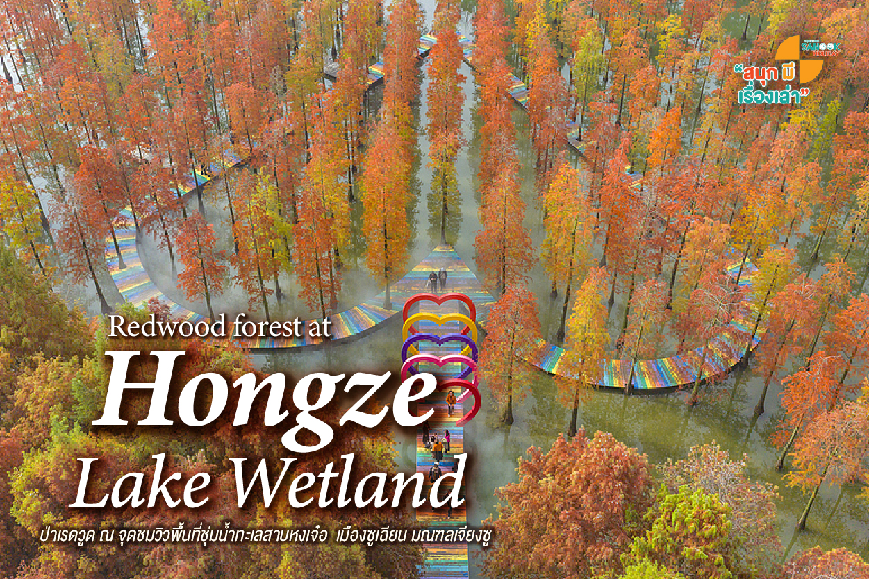 ทะเลสาบหงเจ๋อ (Hongze Lake Wetland)