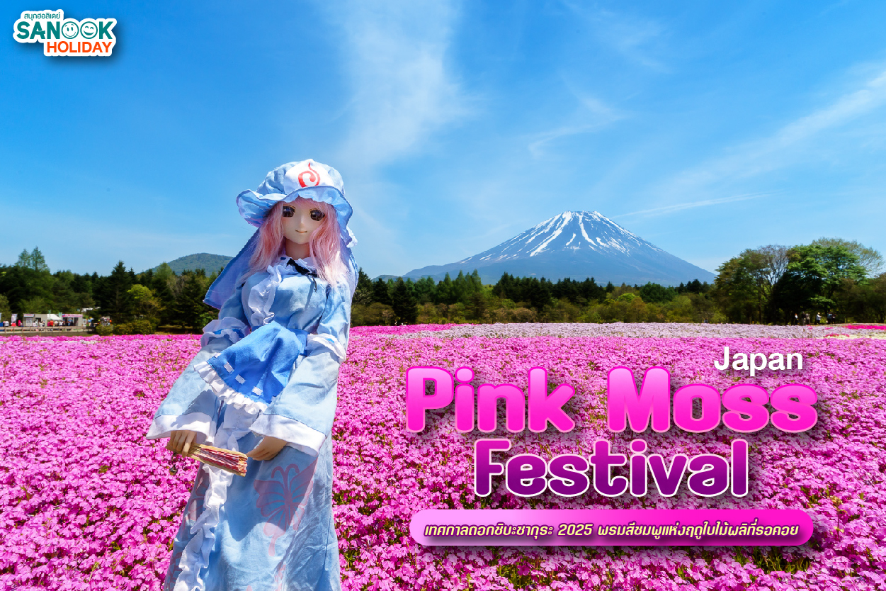 4 เทศกาลชิบะซากุระ 2026 พรมสีชมพูสุดอลังการที่ต้องไปชม