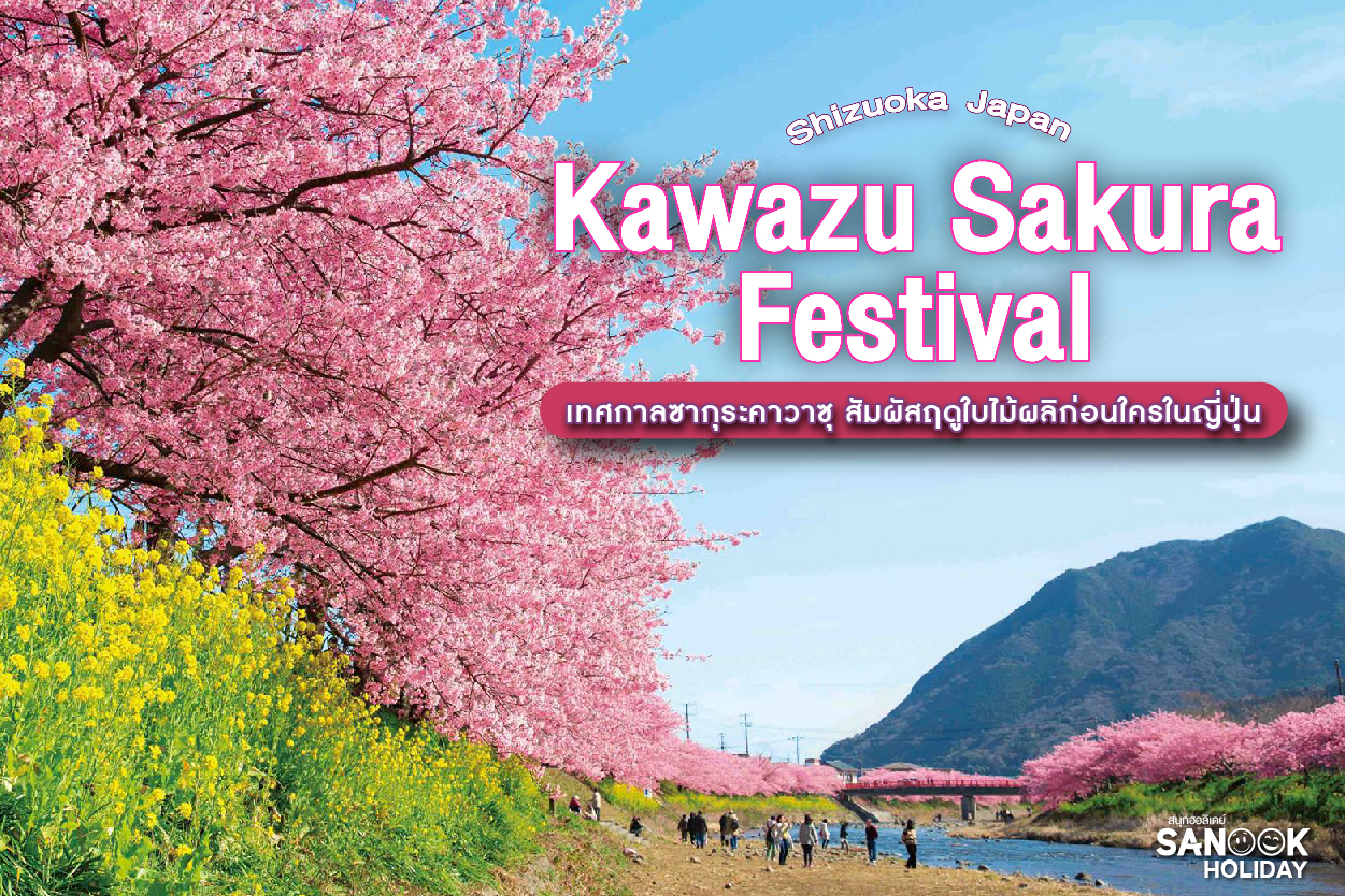เทศกาลซากุระคาวาซุ (Kawazu Sakura) เมื่อฤดูใบไม้ผลิเดินทางมาถึงก่อนเวลา... สวรรค์สีชมพูแห่งชิซูโอกะ