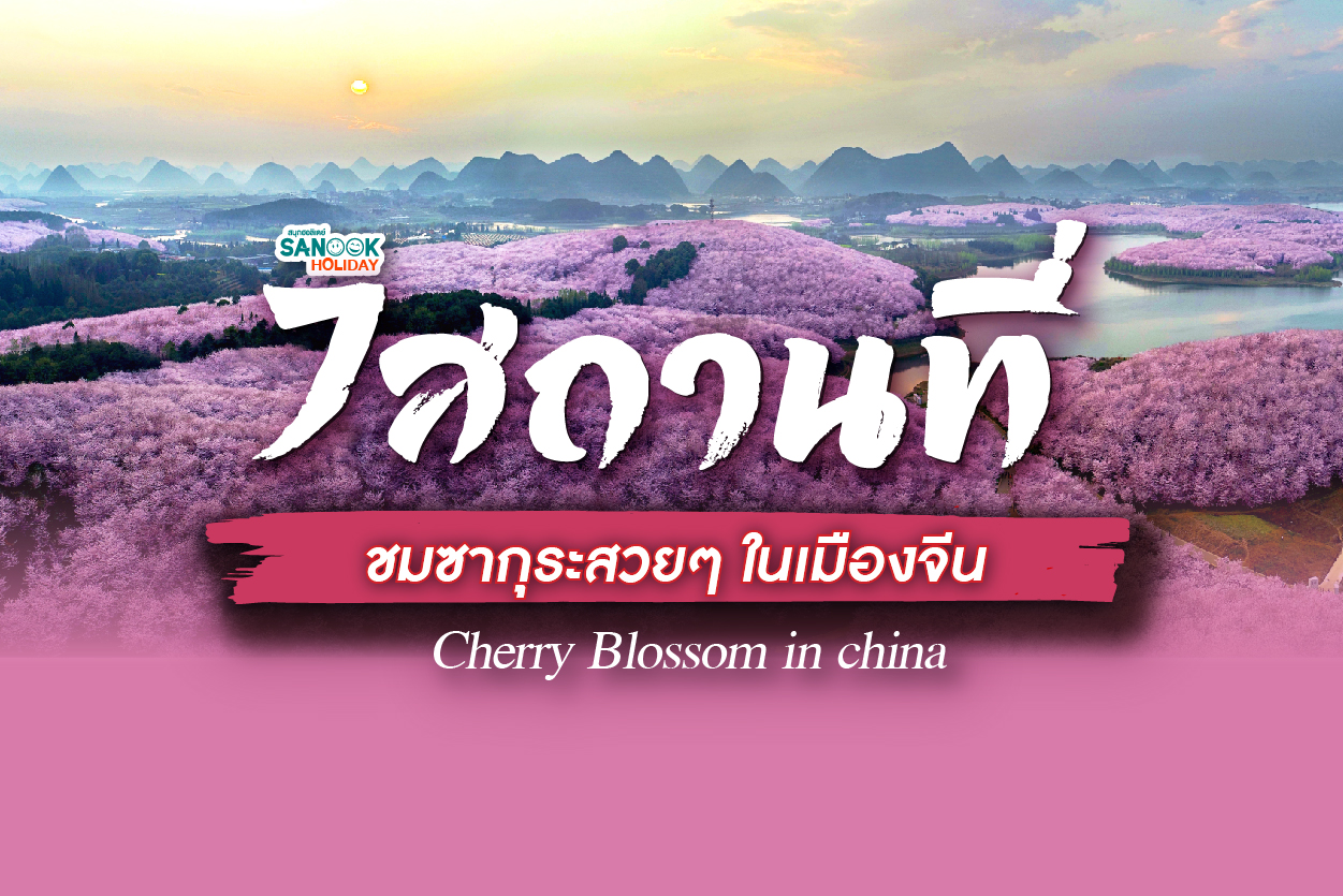 7 พิกัดชมซากุระในเมืองจีน ที่จะทำให้คุณตกหลุมรักจนถอนตัวไม่ขึ้น