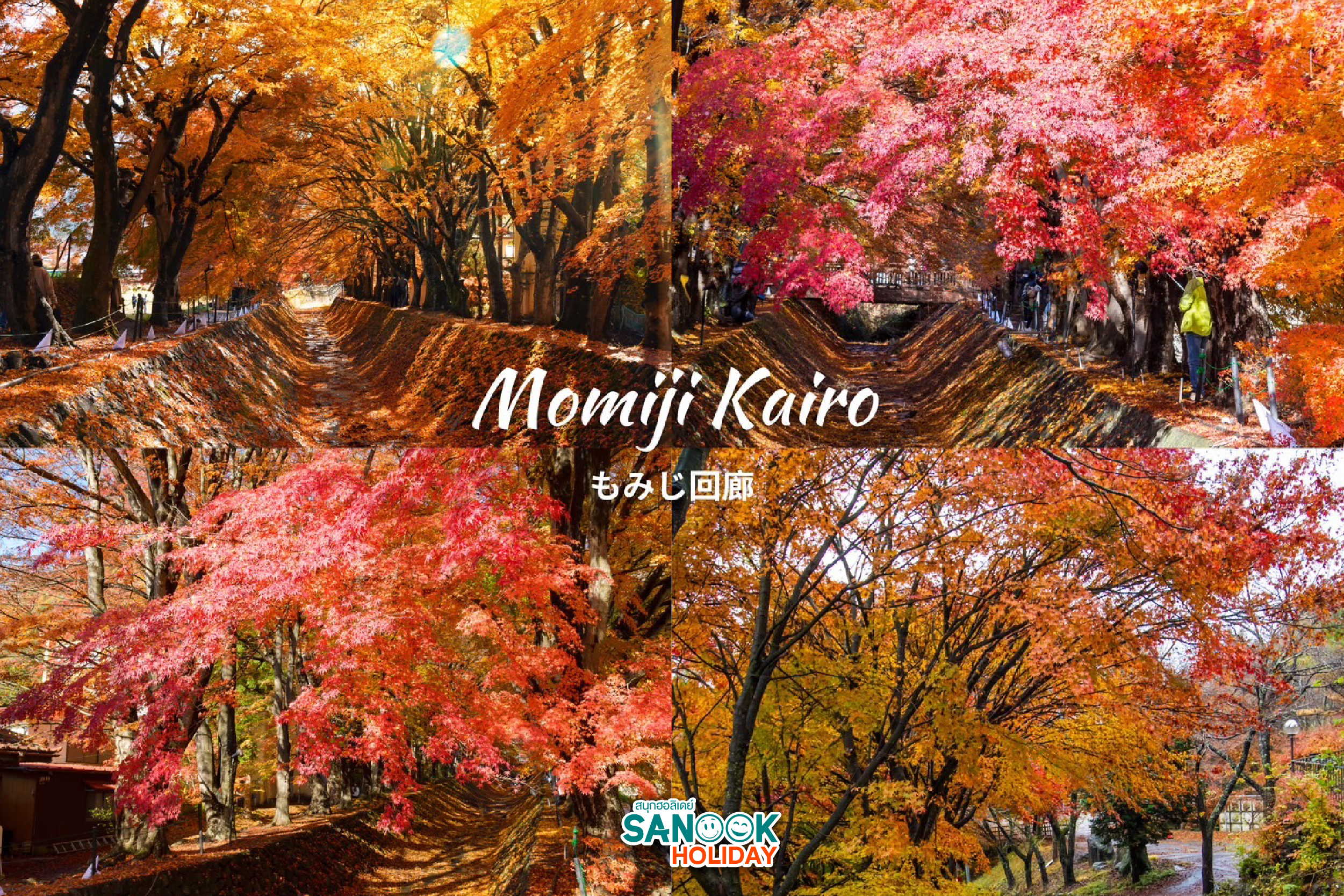 อุโมงใบเมเปิ้ล Momiji Kairo