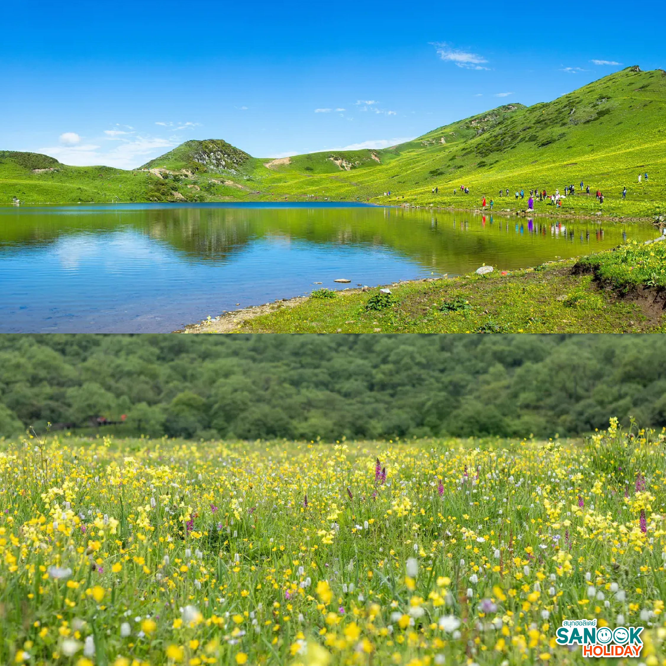 ระยะทาง: ห่างจากเมือง เฉิงตู ประมาณ 180 กิโลเมตร ใช้เวลาเดินทางโดยรถยนต์ประมาณ 3-4 ชั่วโมง ระดับความยาก: การเทรคกิ้งที่นี่ถือว่า ค่อนข้างยาก (Hard) เนื่องจากต้องเดินขึ้นที่สูงชันและพักค้างคืนบนความสูงประมาณ 3,600 เมตร สิ่งที่ควรเตรียม: รองเท้าเดินป่ากันลื่น, เสื้อกันหนาว (อุณหภูมิบนเขาต่ำมาก), ยาแก้แพ้ความสูง (Altitude Sickness), และควรเตรียมเงินสดเพราะสัญญาณอินเทอร์เน็ตบนเขาไม่เสถียร