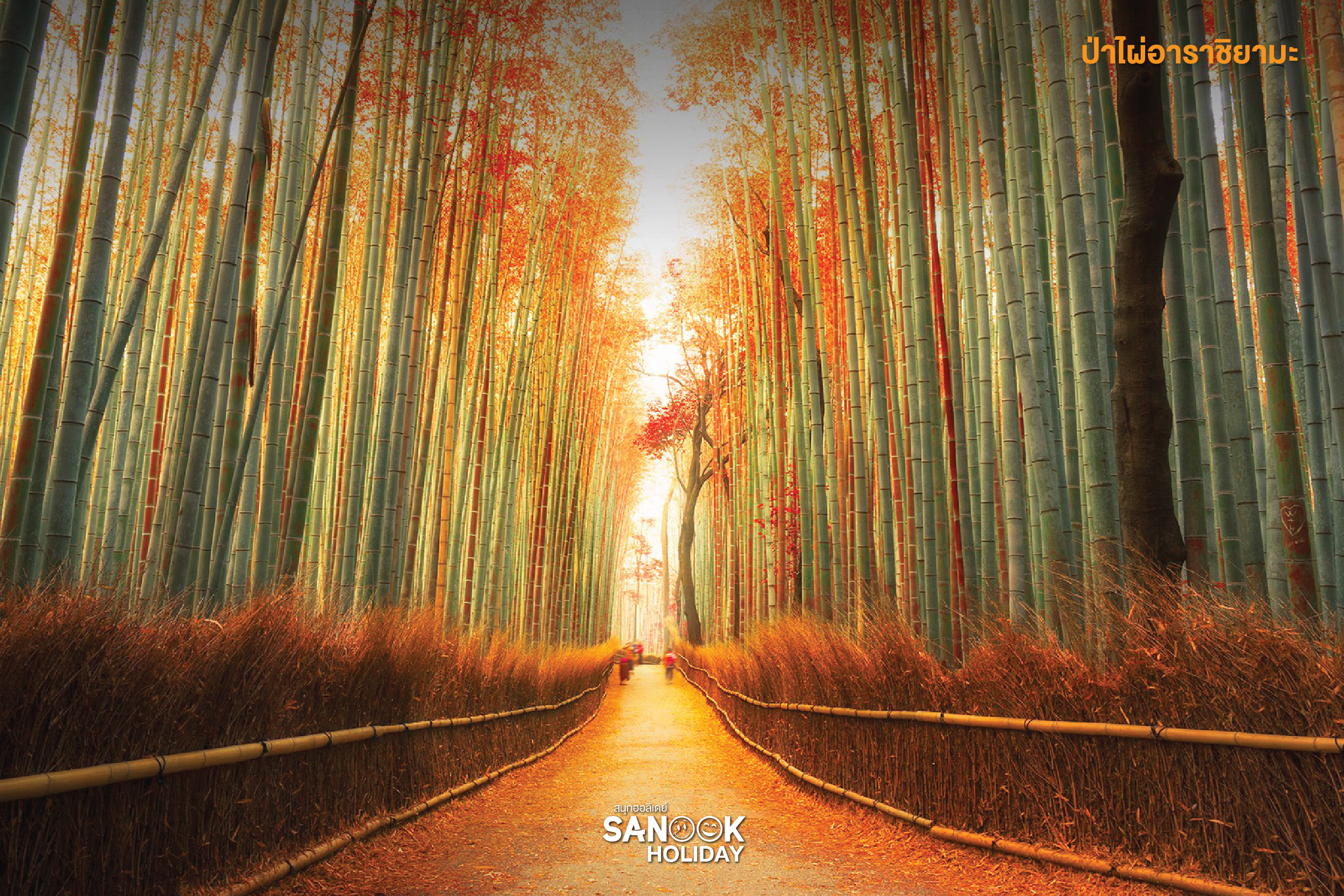 ป่าไผ่อาราชิยามะ (Arashiyama Bamboo Grove)