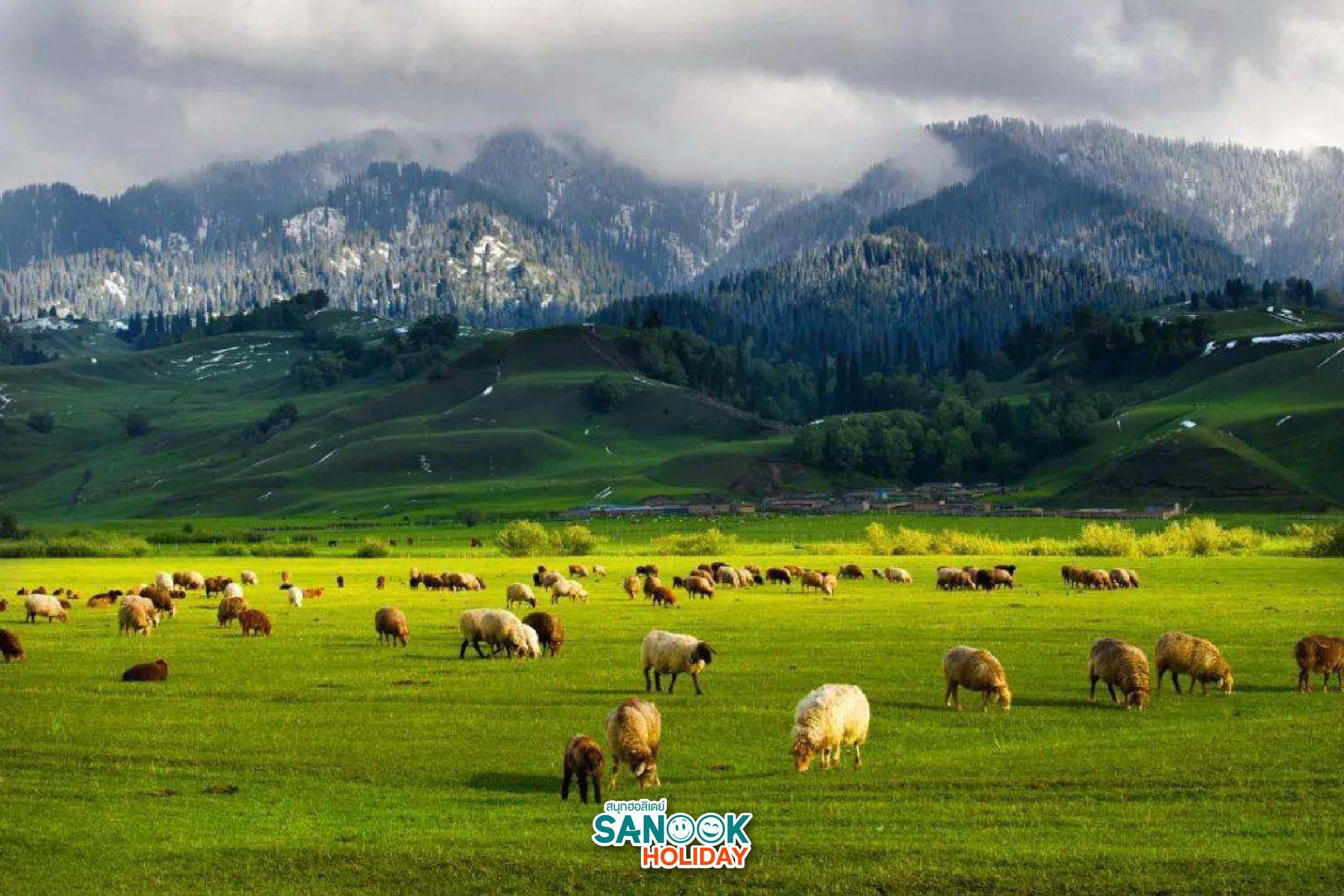 ทุ่งหญ้านาลาตี สวรรค์บนดินแห่งซินเจียง