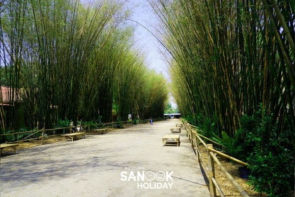 ซุ้มต้นไผ่ นครนายก