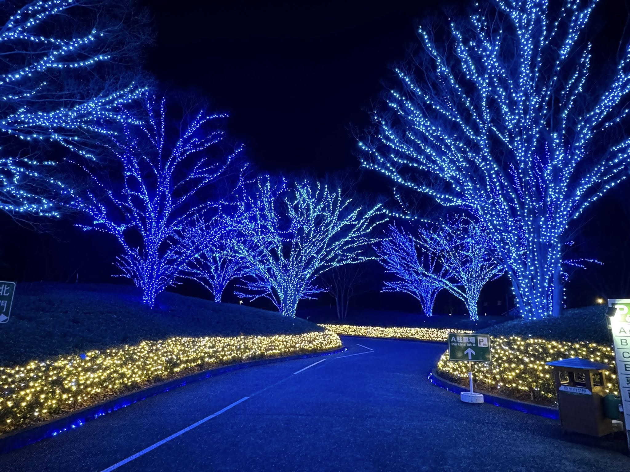 ทริปญี่ปุ่น โอซาก้า ทาคายาม่า ชิราคาวาโกะ